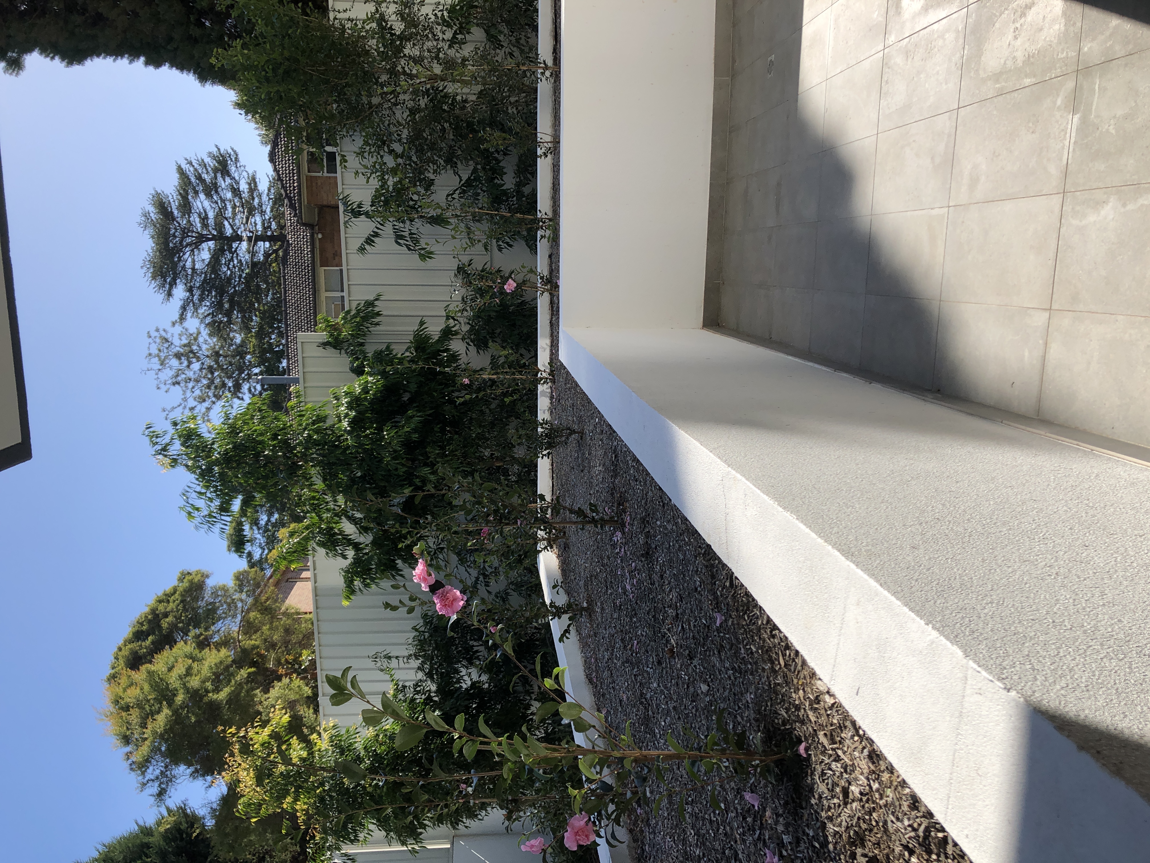 image-18