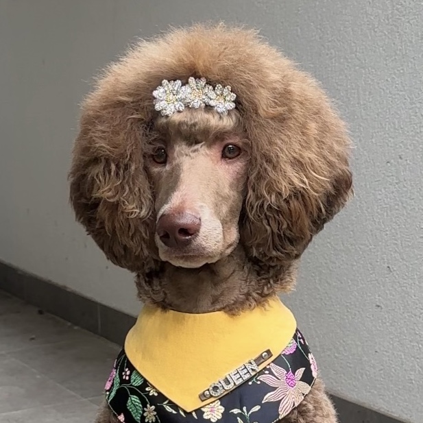 Queenie 