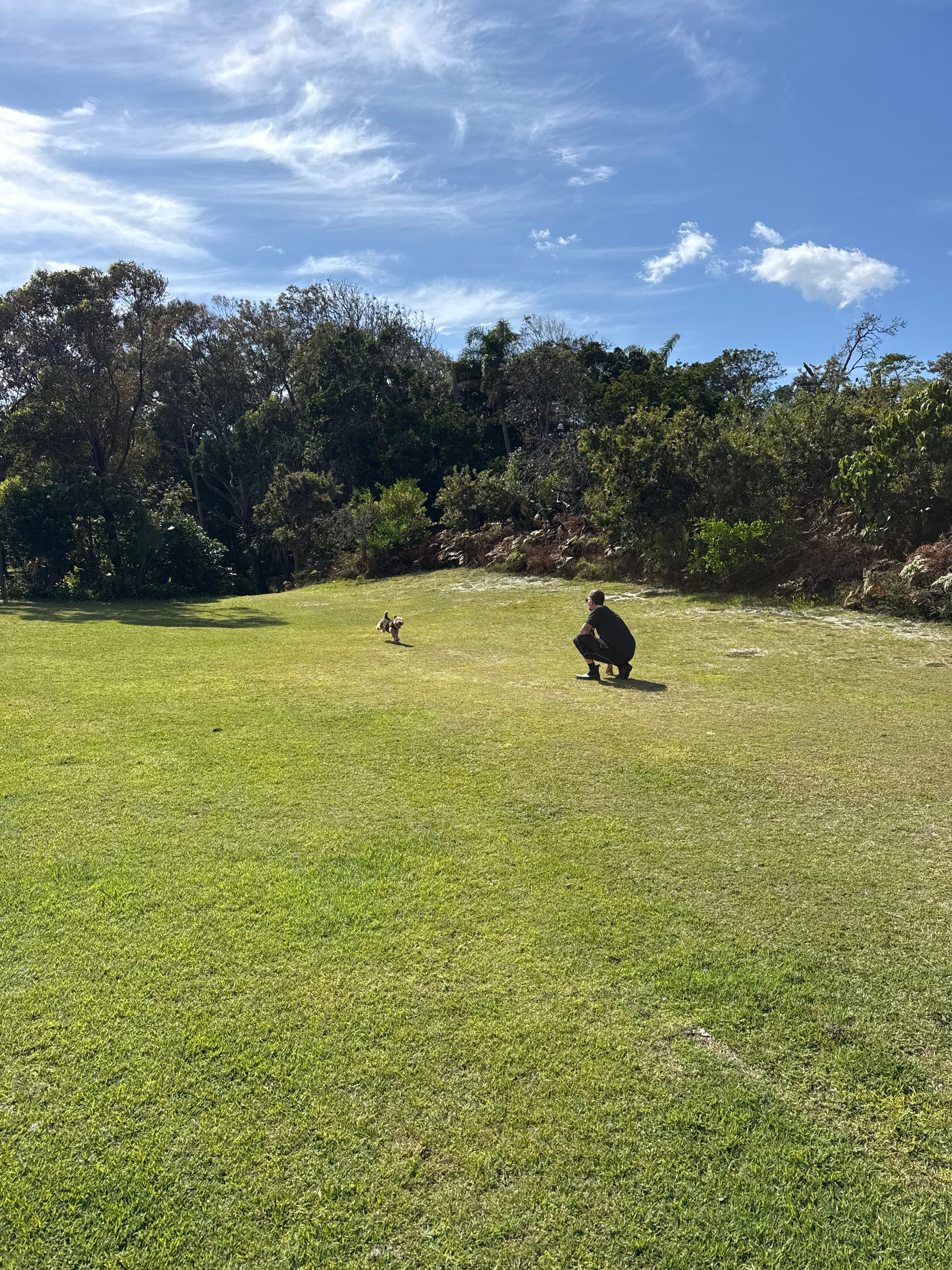 image-16