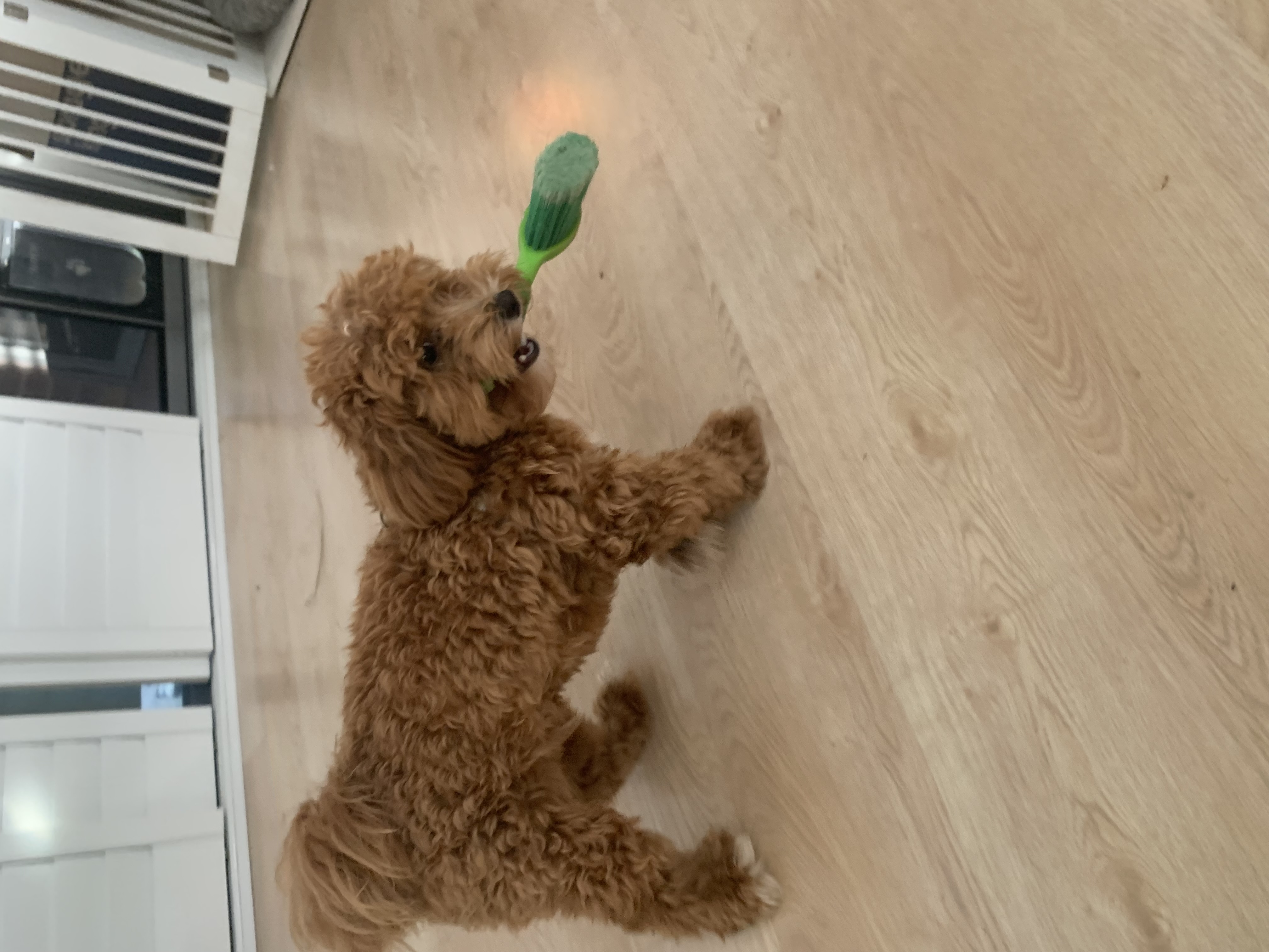 image-9