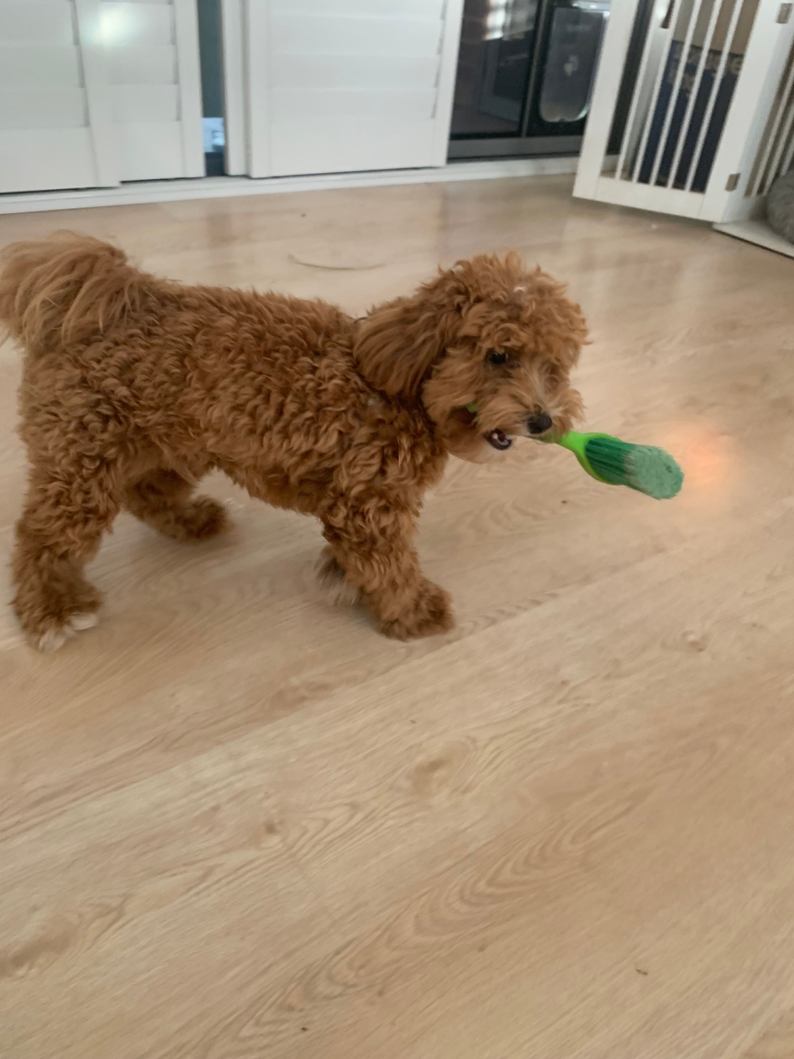image-9
