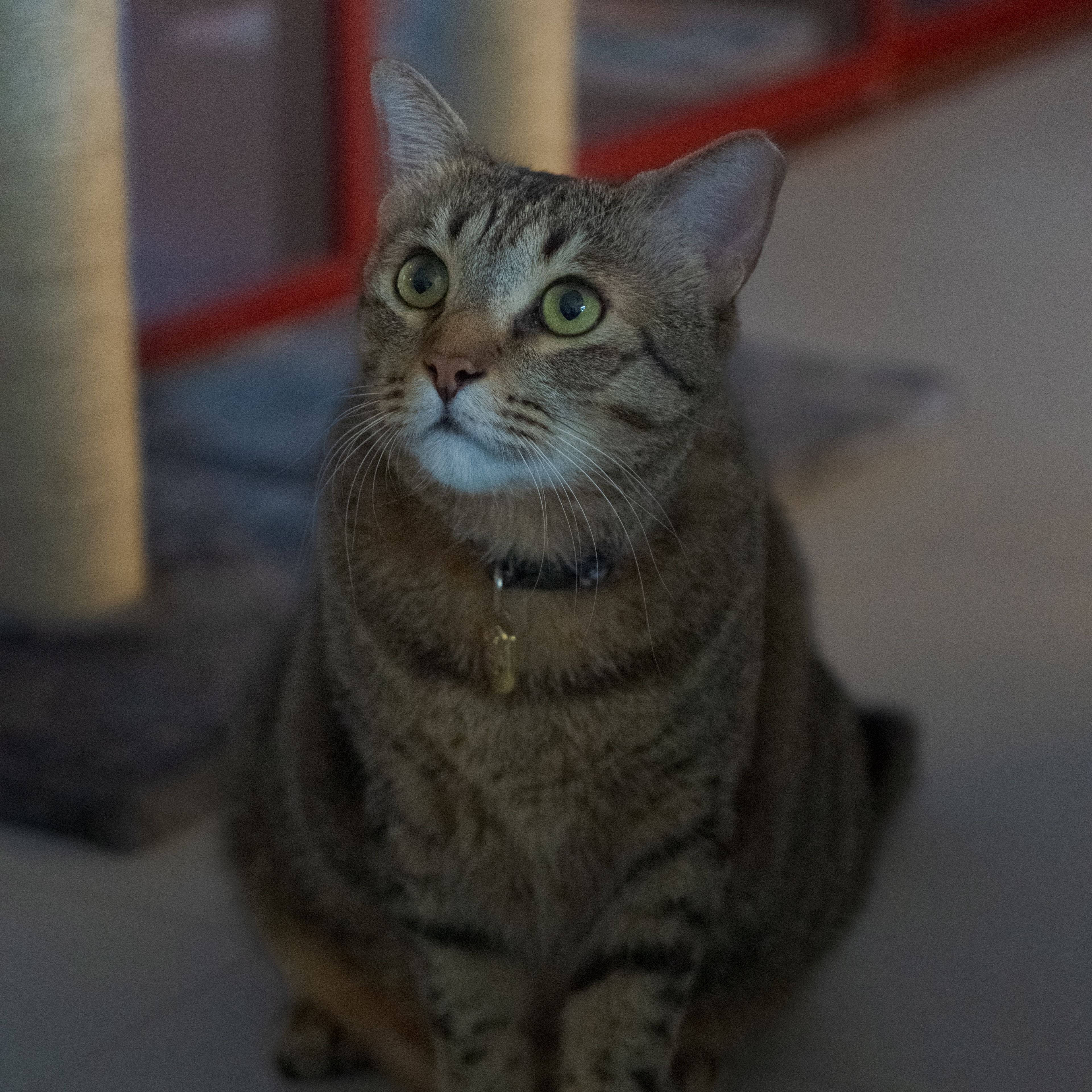Ben