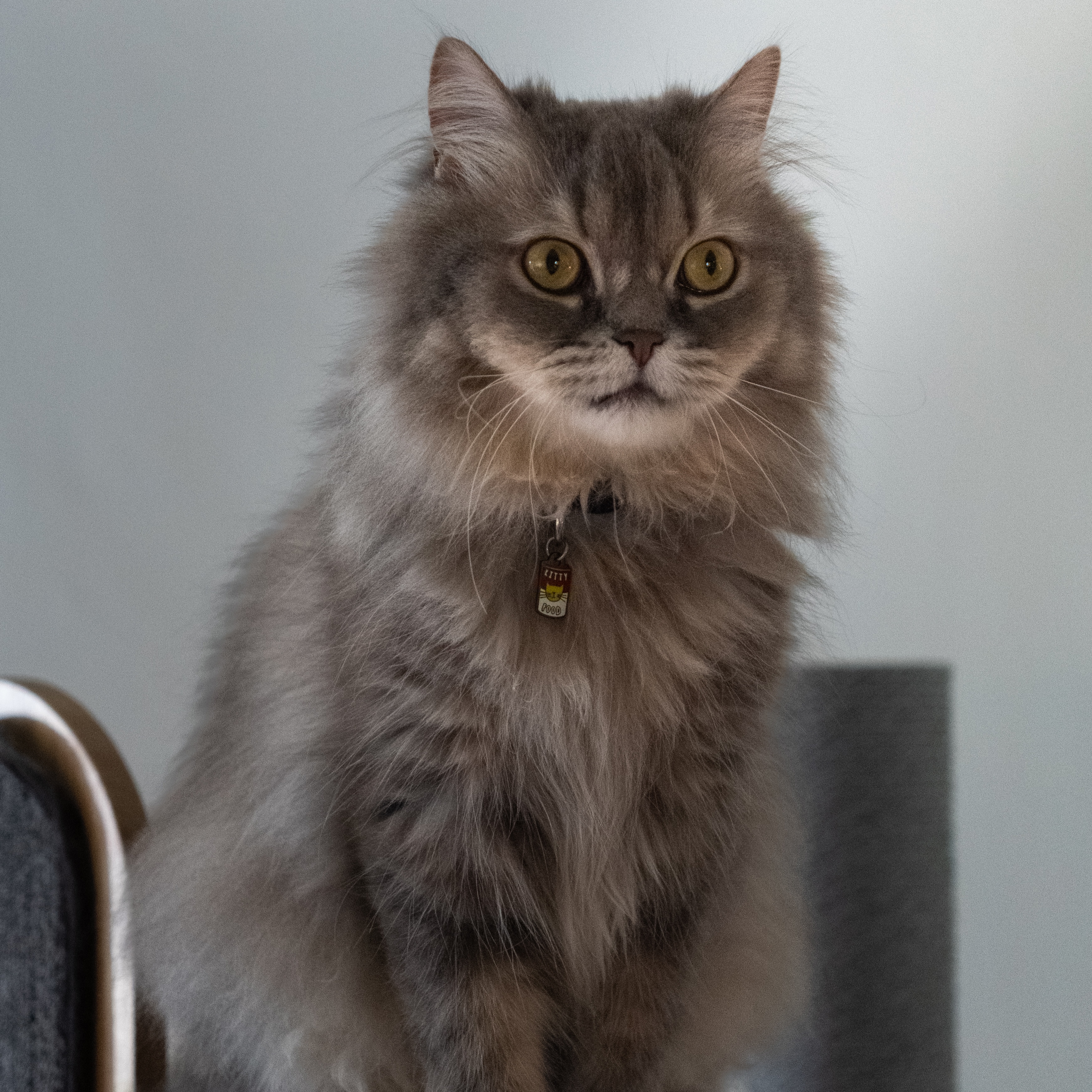 Vasili