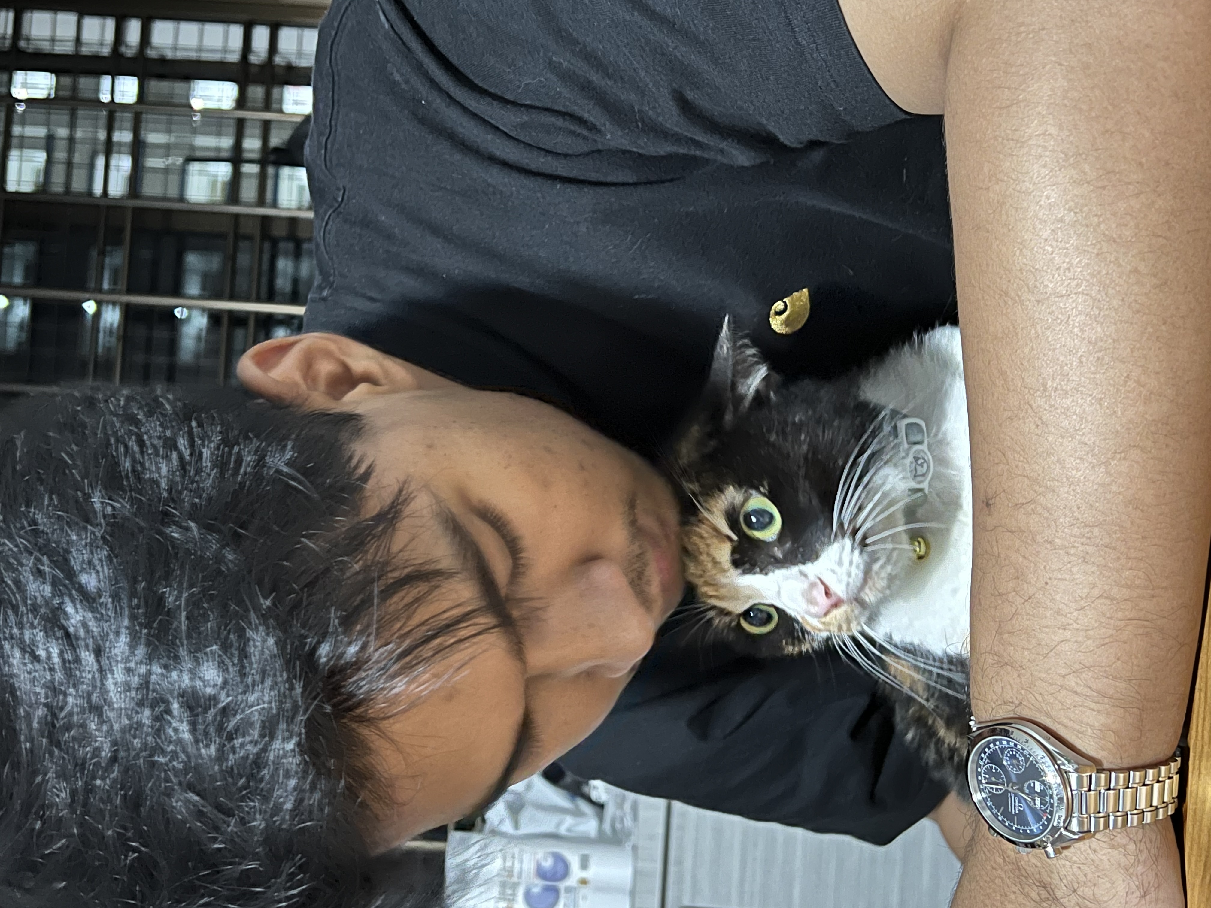 image-5