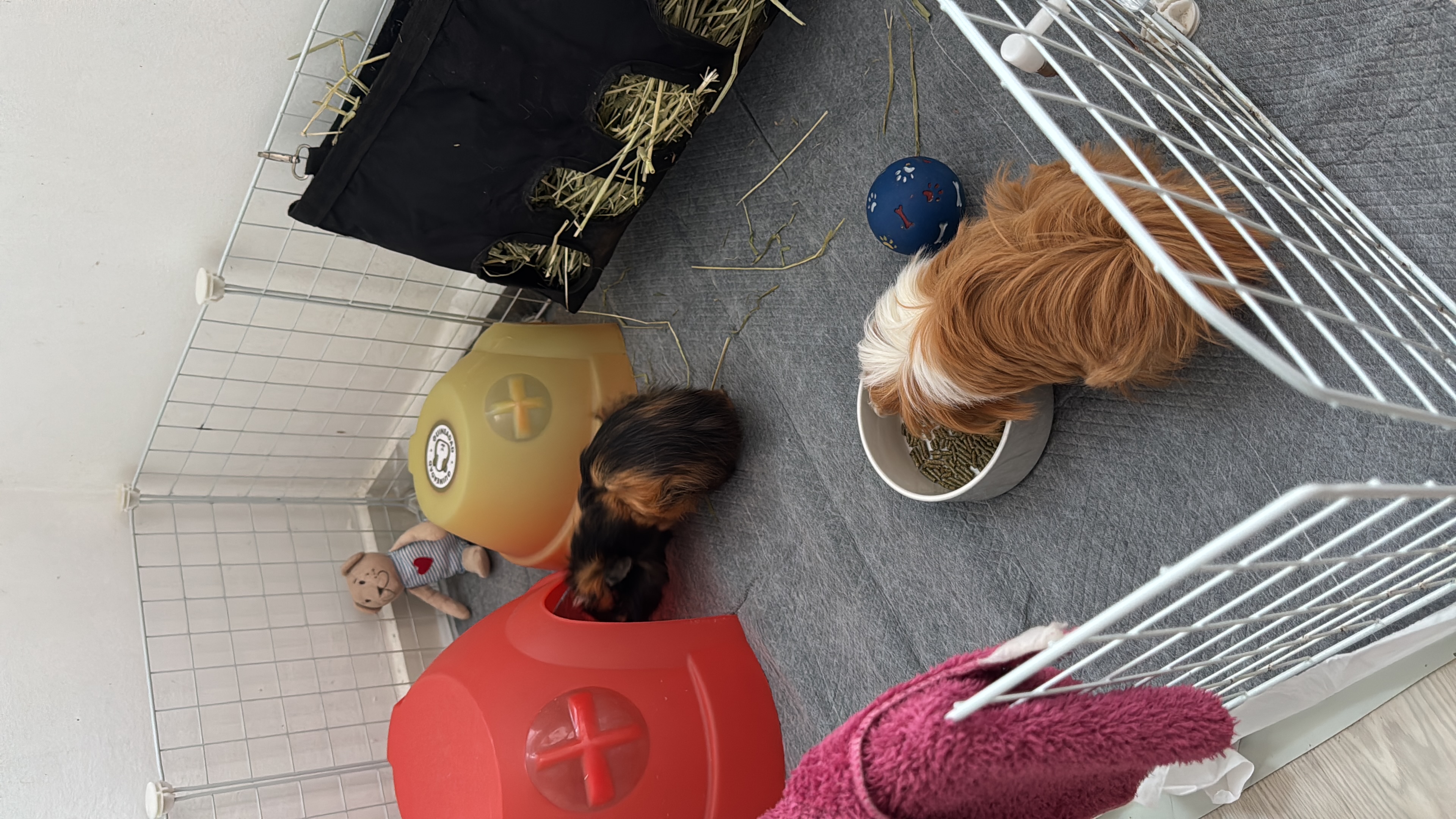 image-9