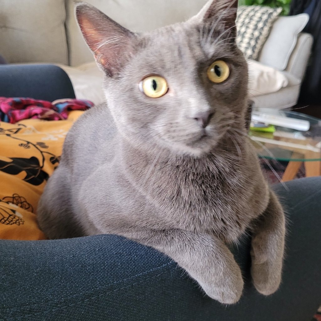 Theodore