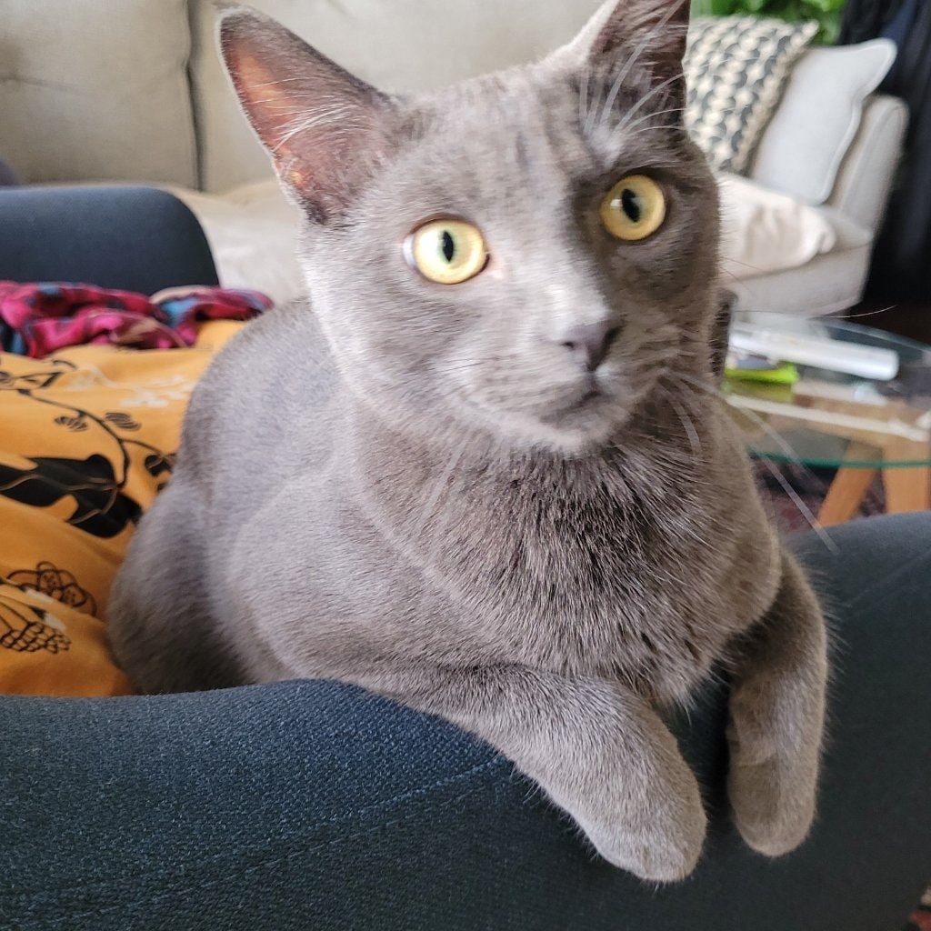 Theodore