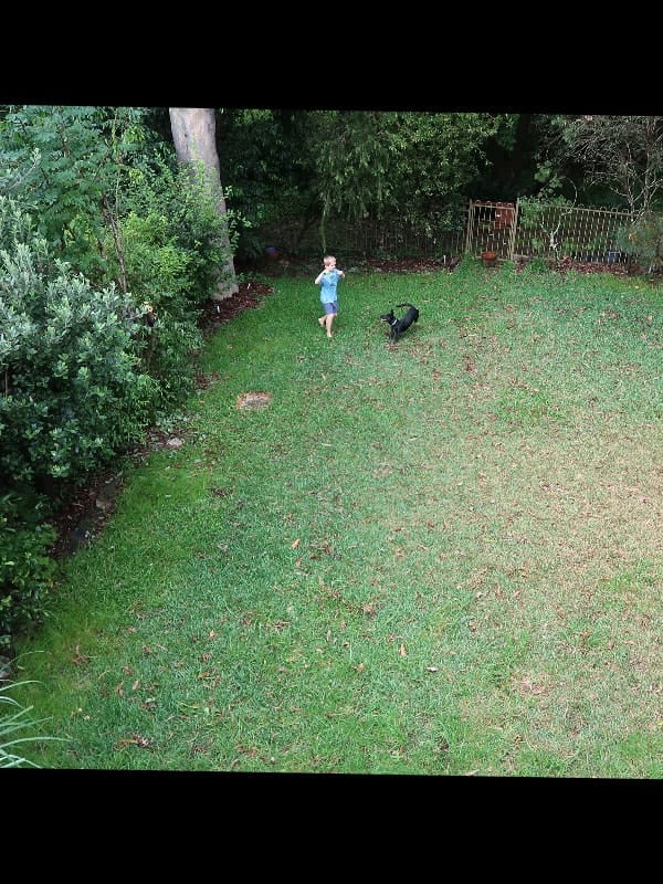 image-16