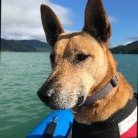 Bella