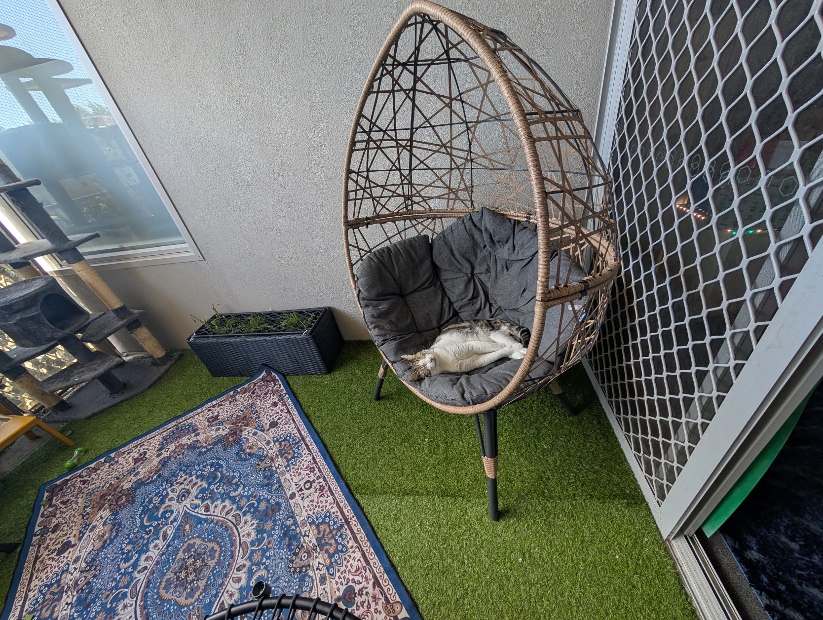 image-9