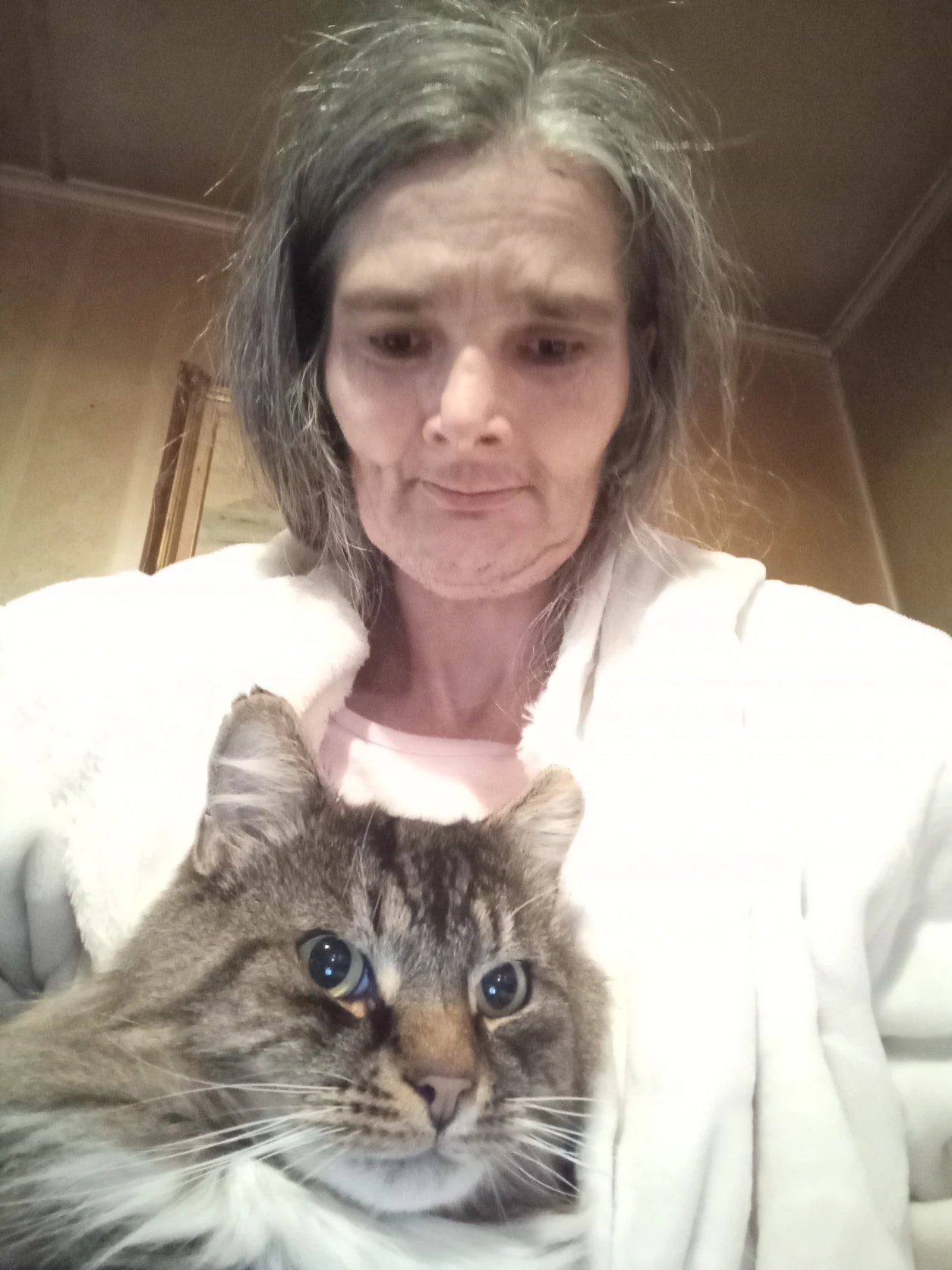 image-5