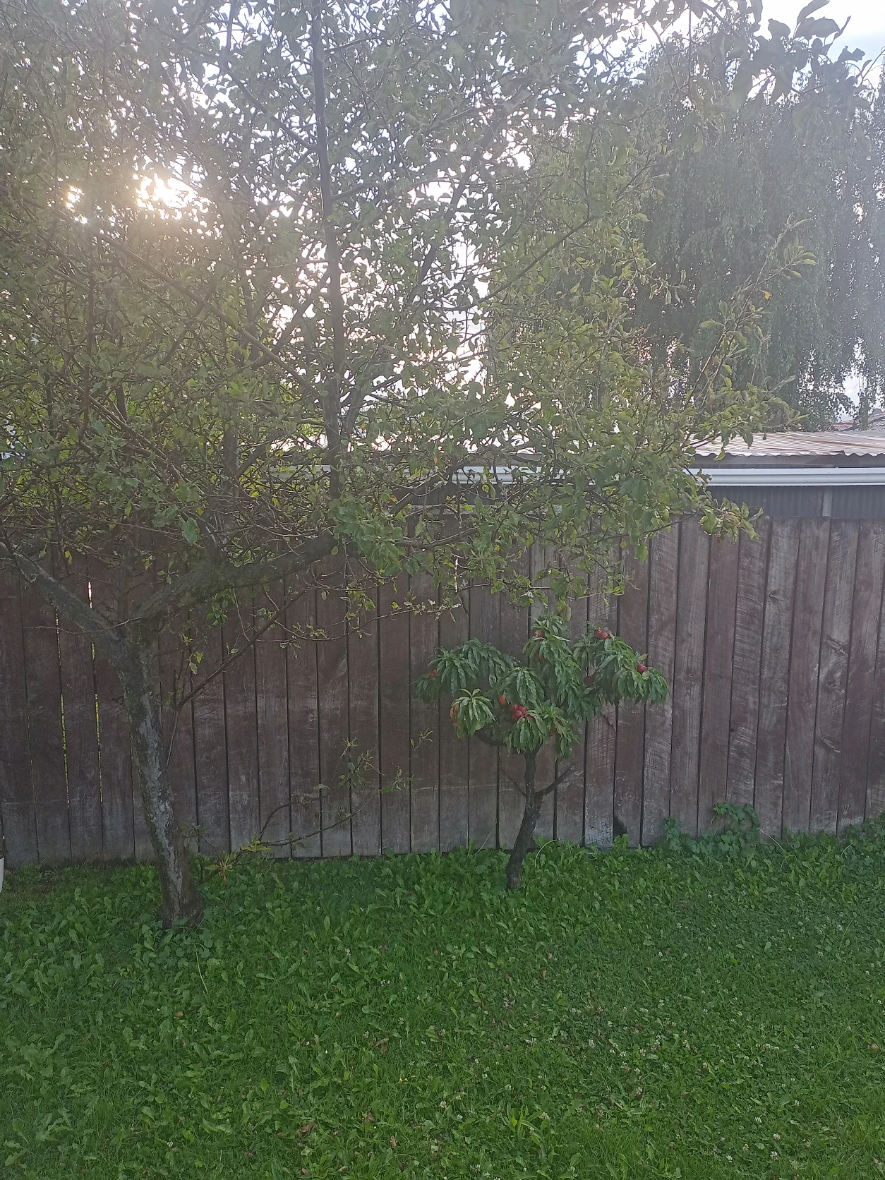 image-17