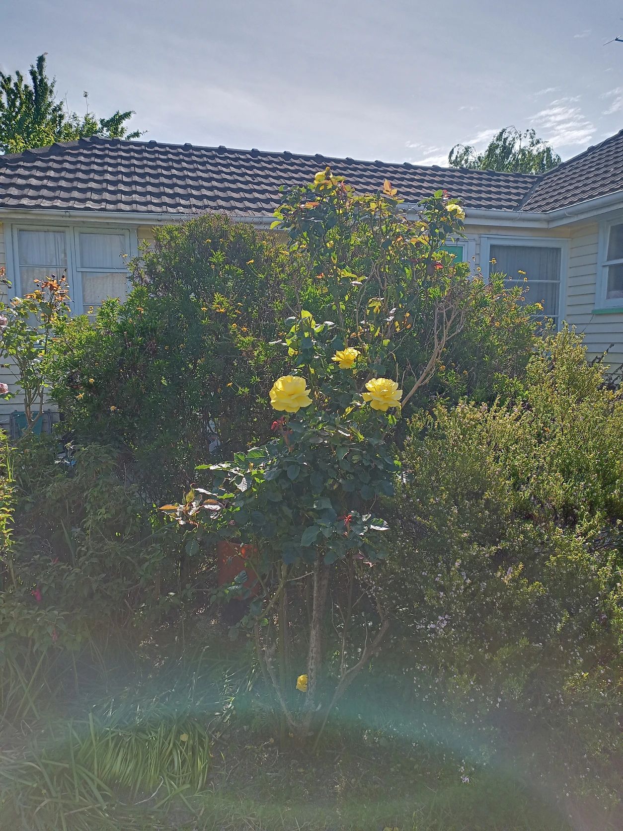 image-15