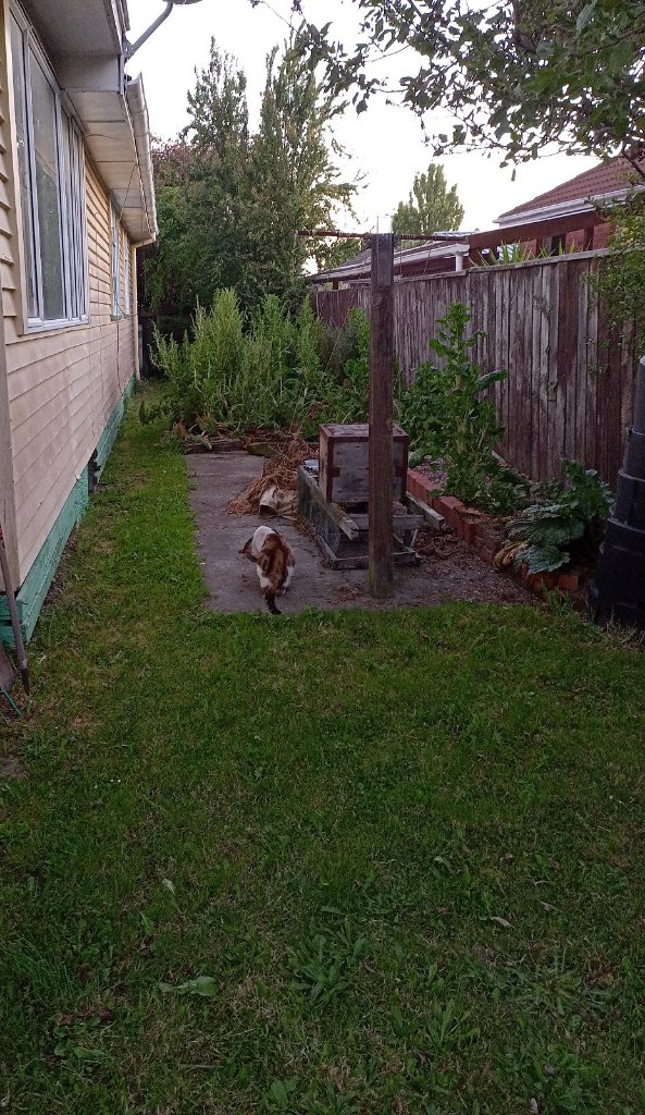 image-6