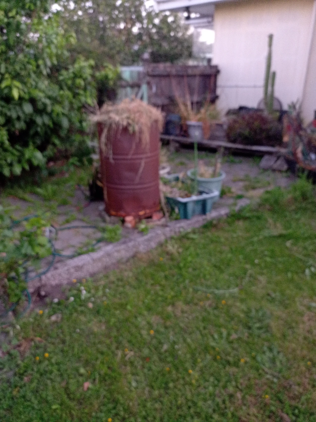 image-6