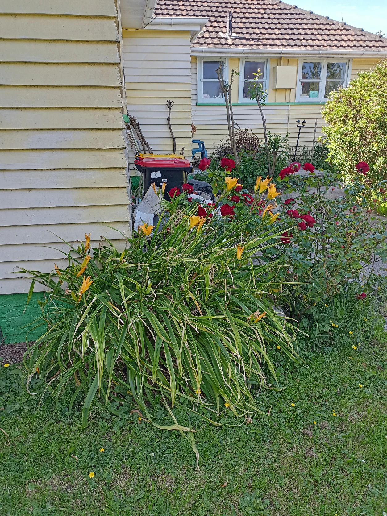 image-12