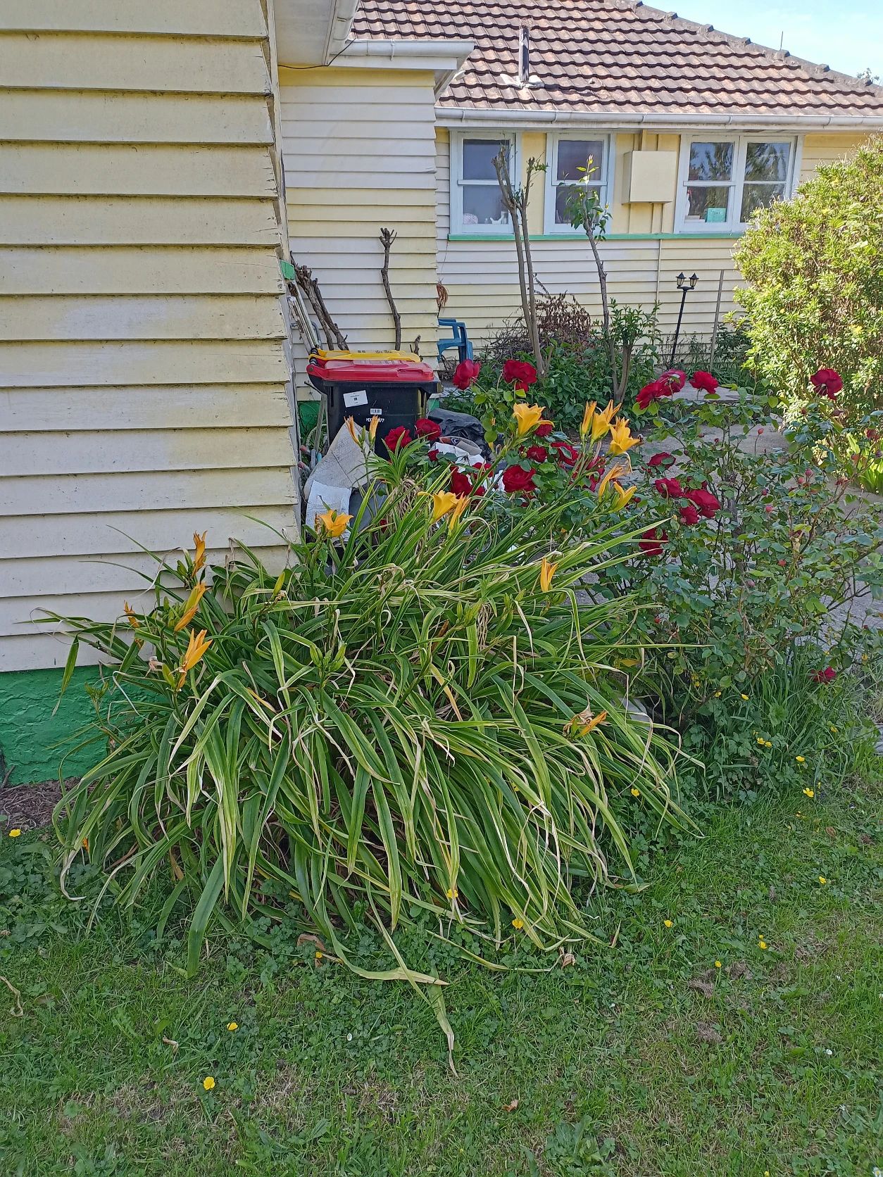 image-12