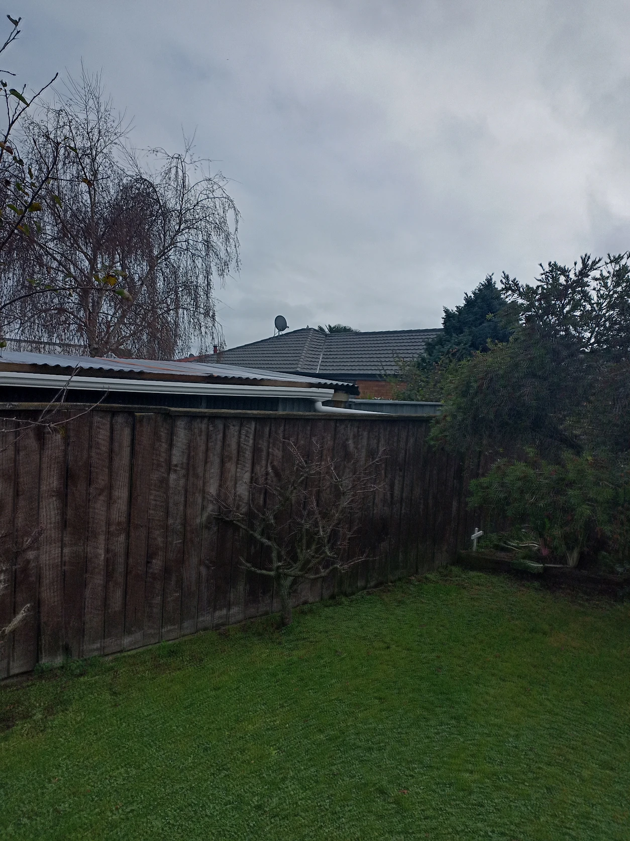image-8