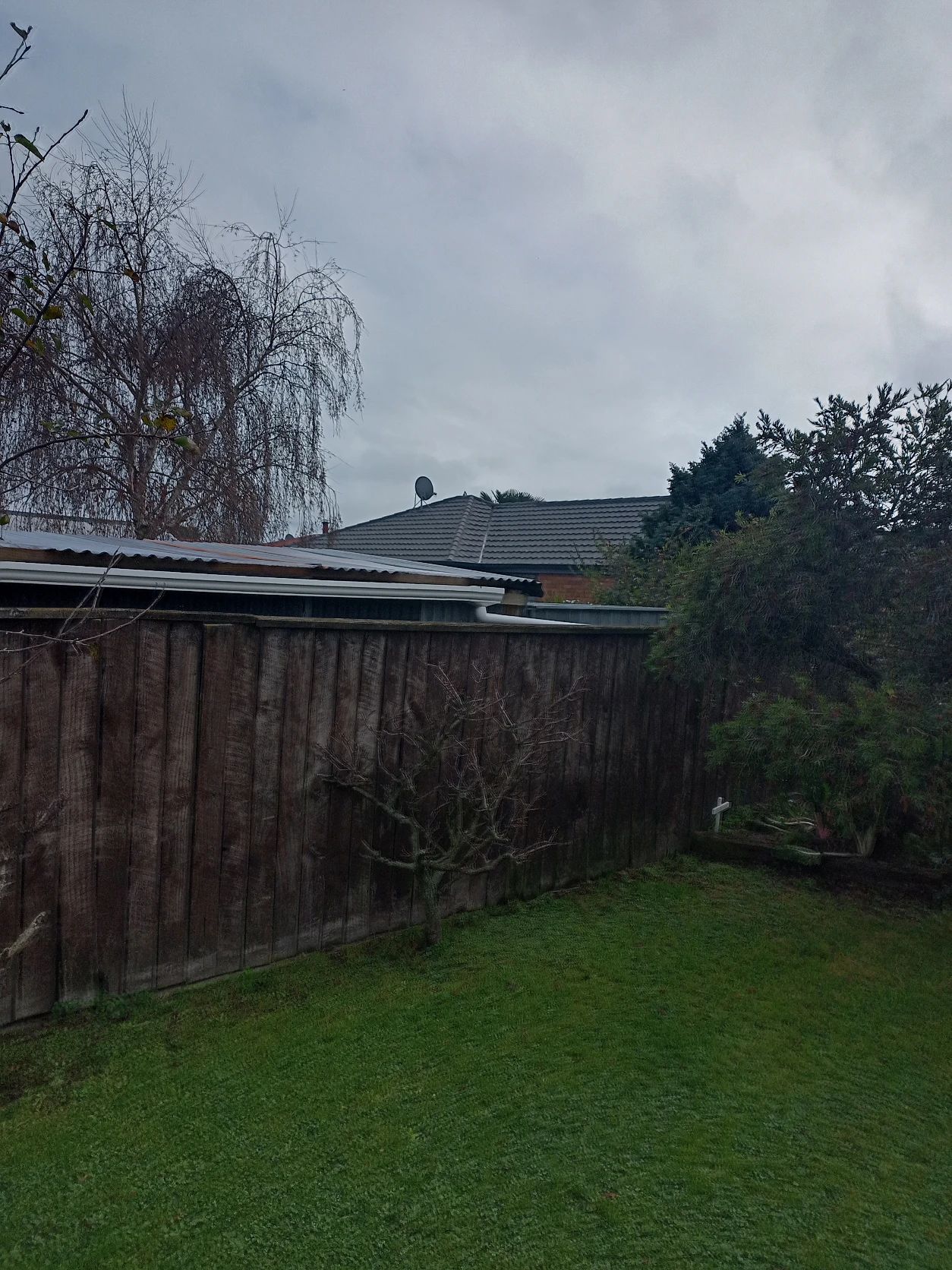 image-8