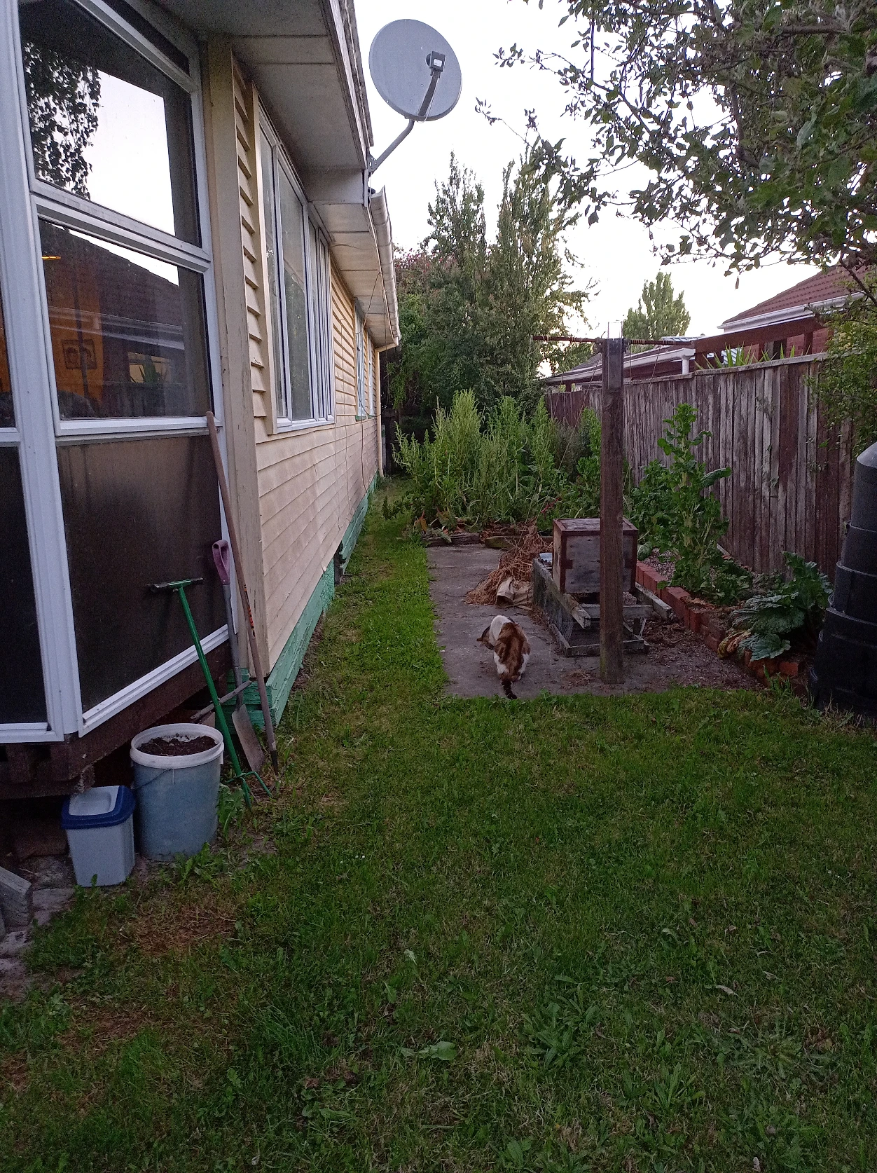 image-7