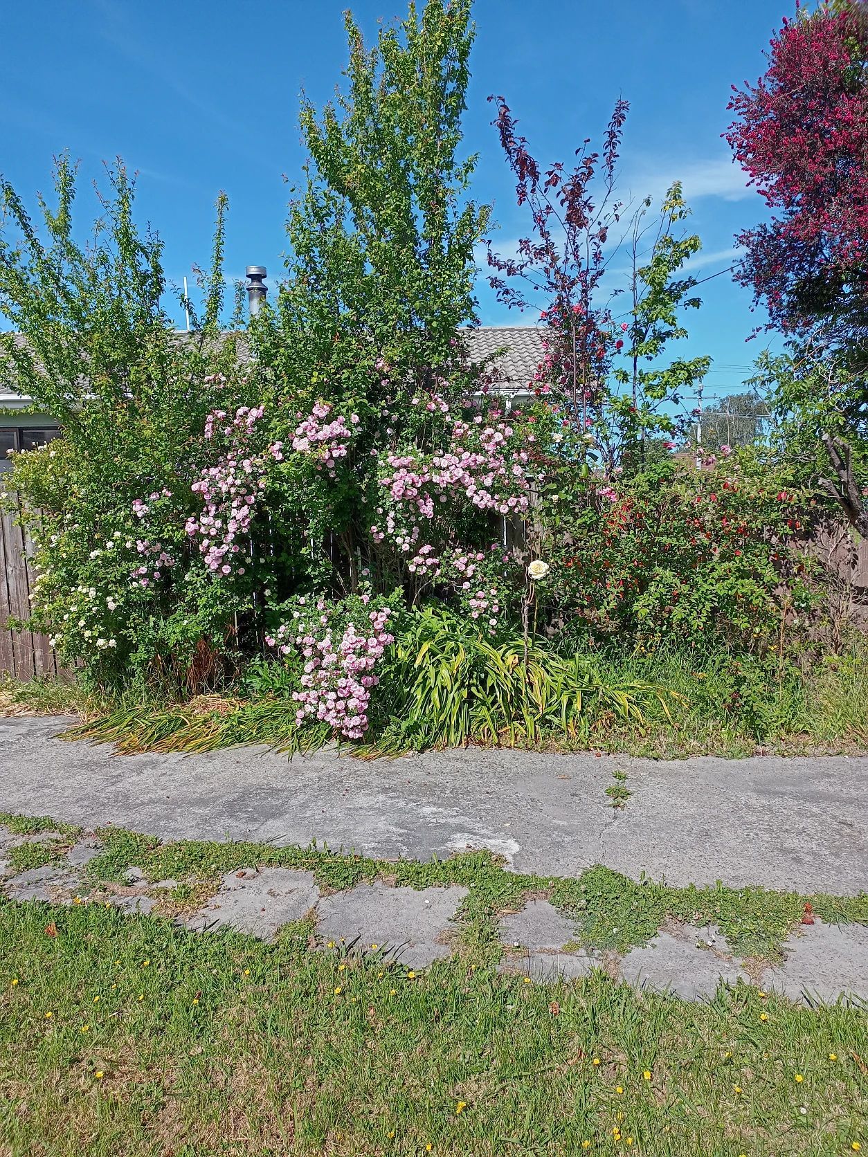image-13