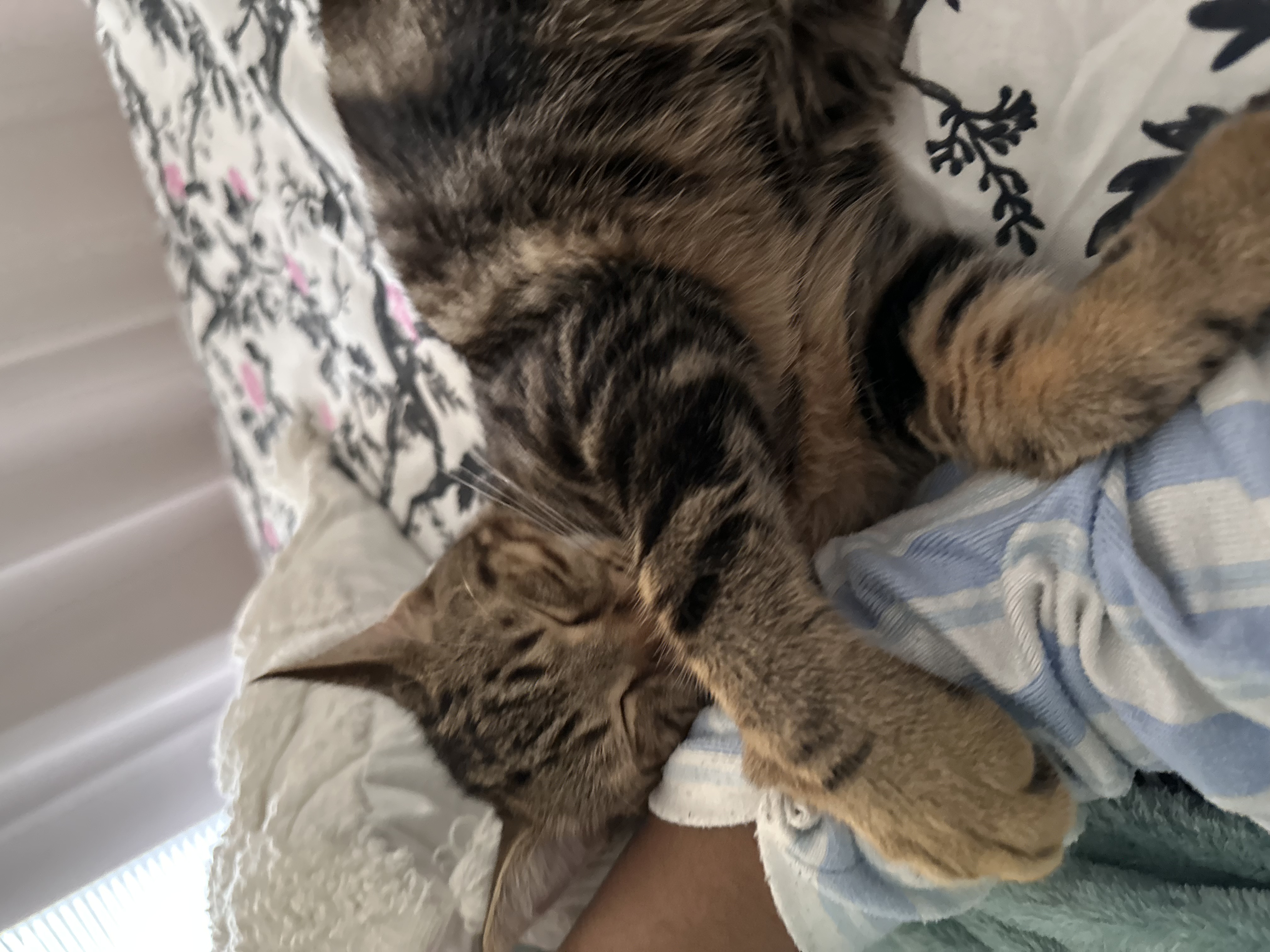 image-6