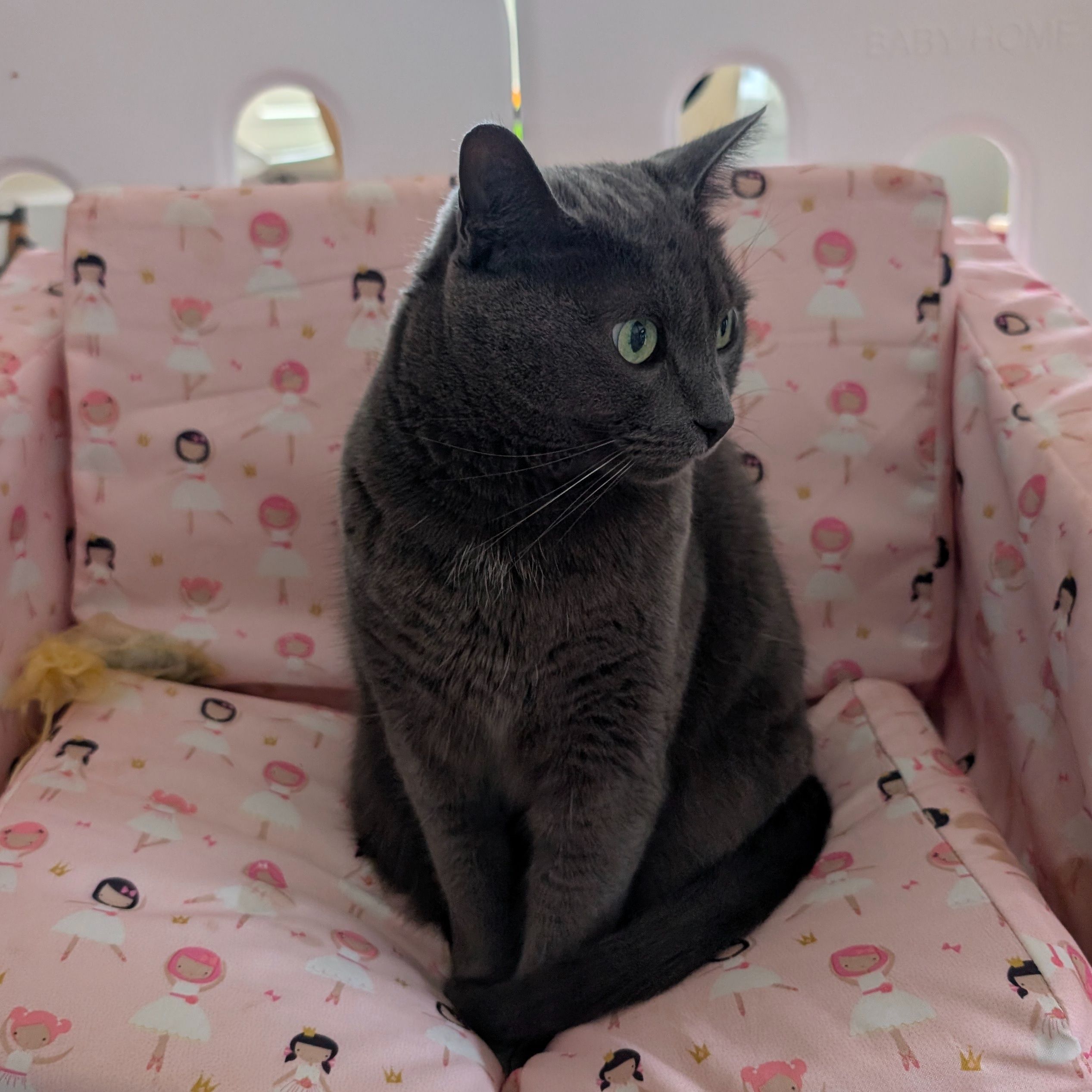 Audrey 