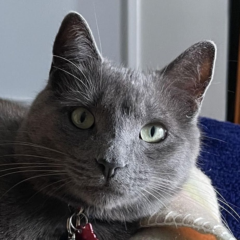 Winston