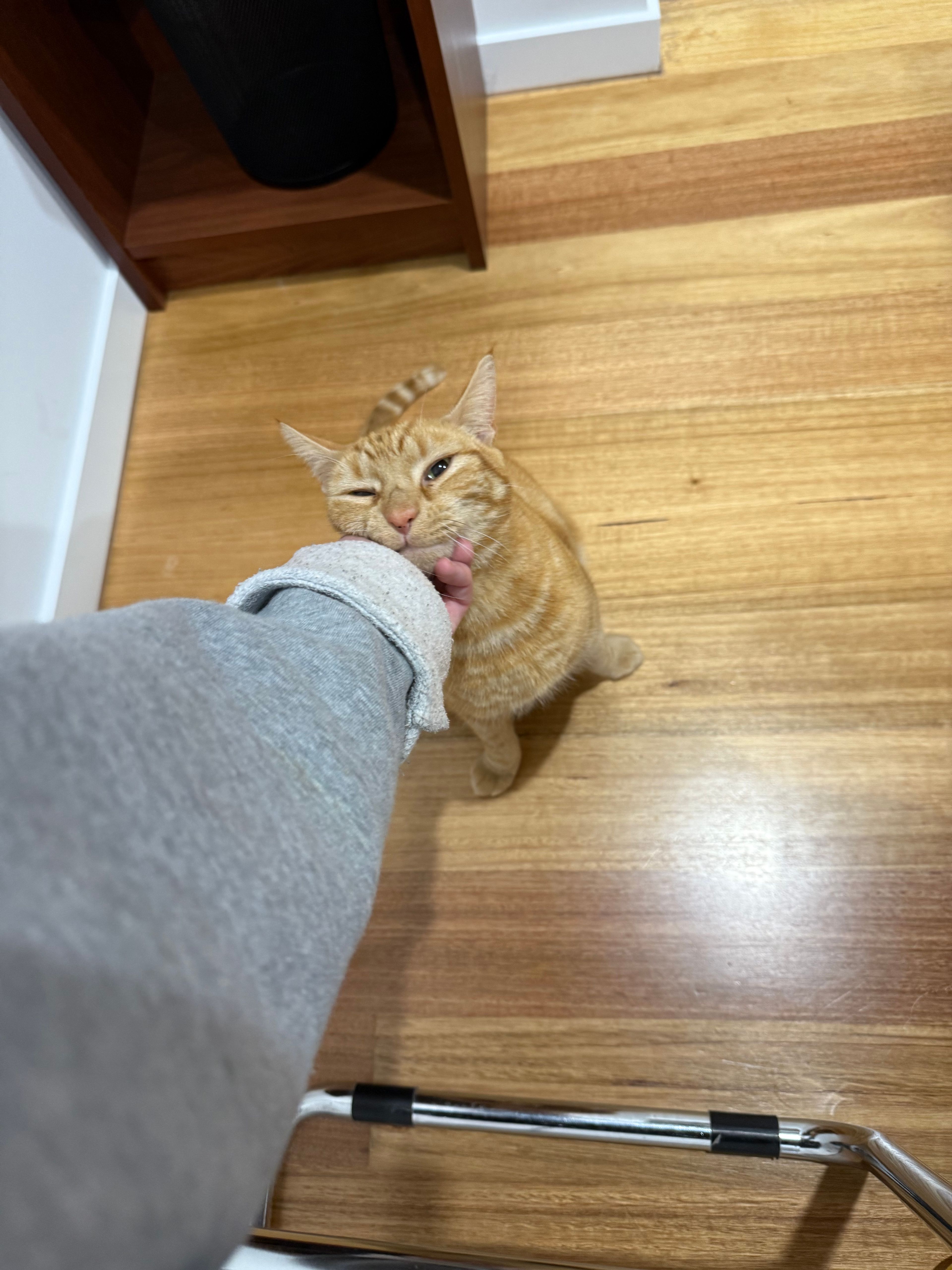 image-4