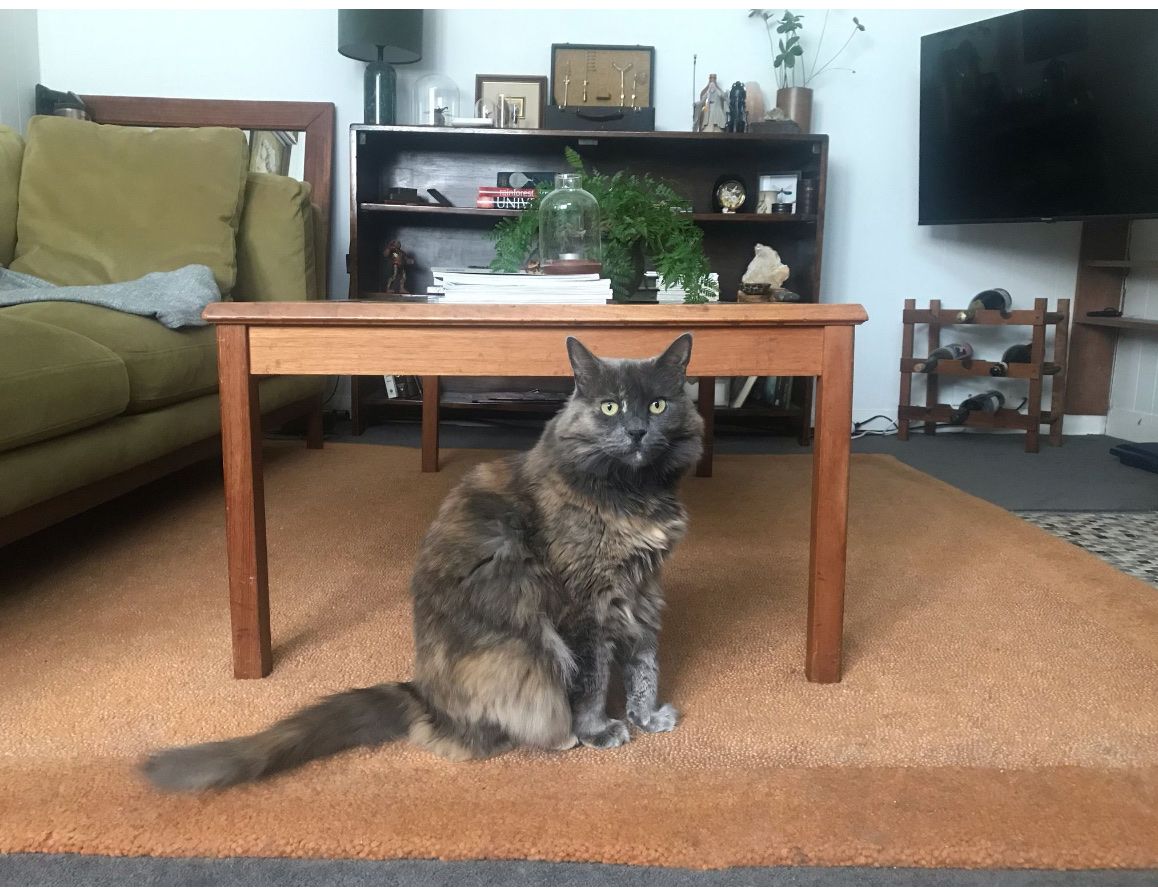 image-14
