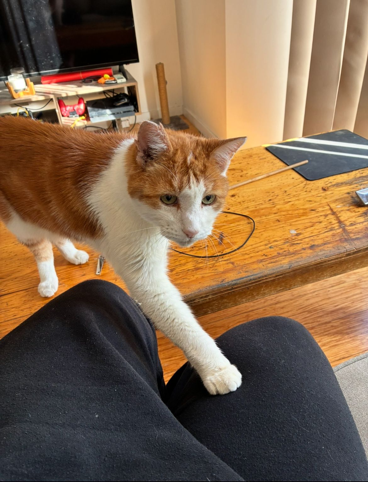 image-10