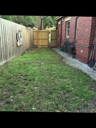 image-19