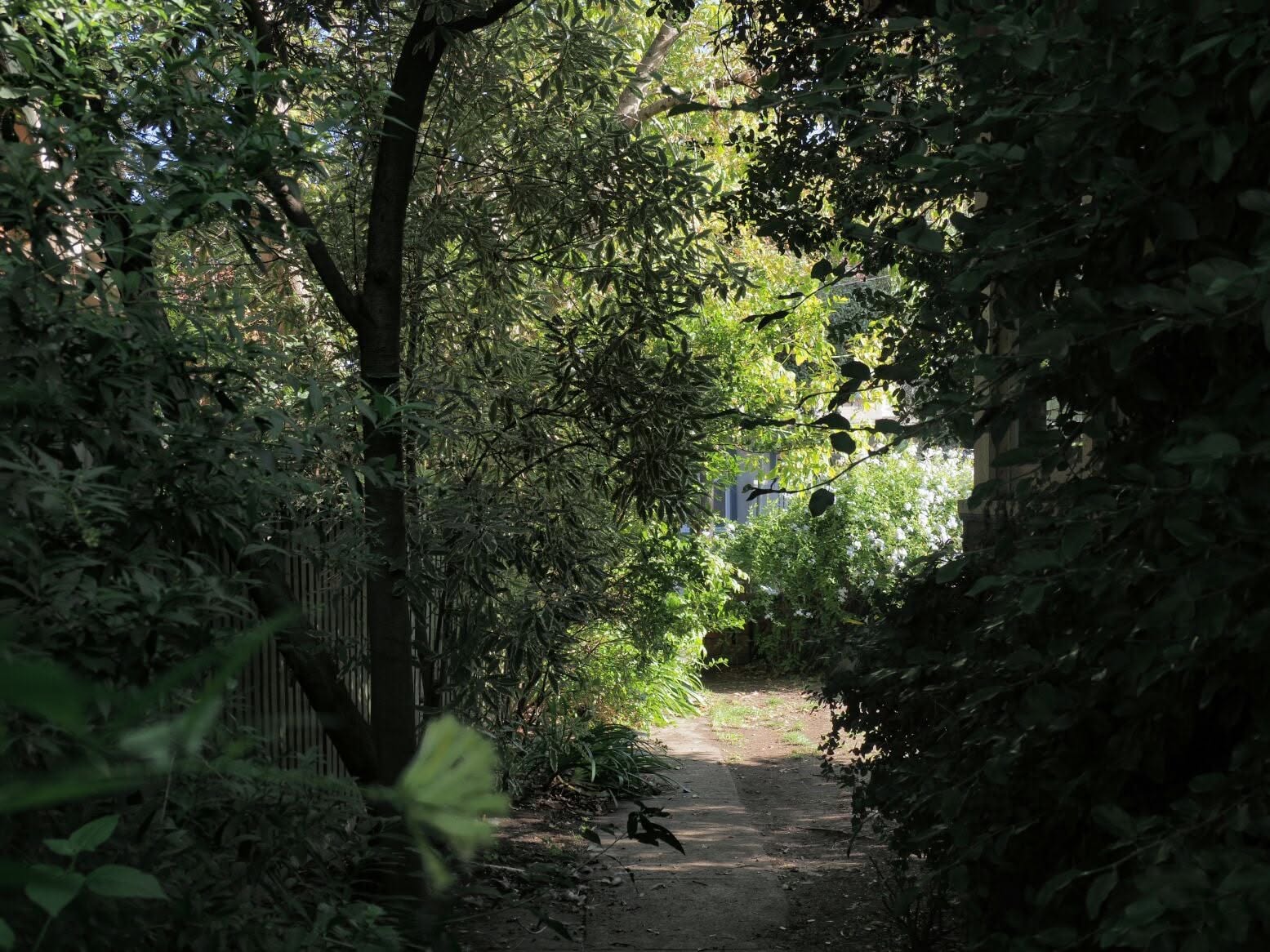 image-36