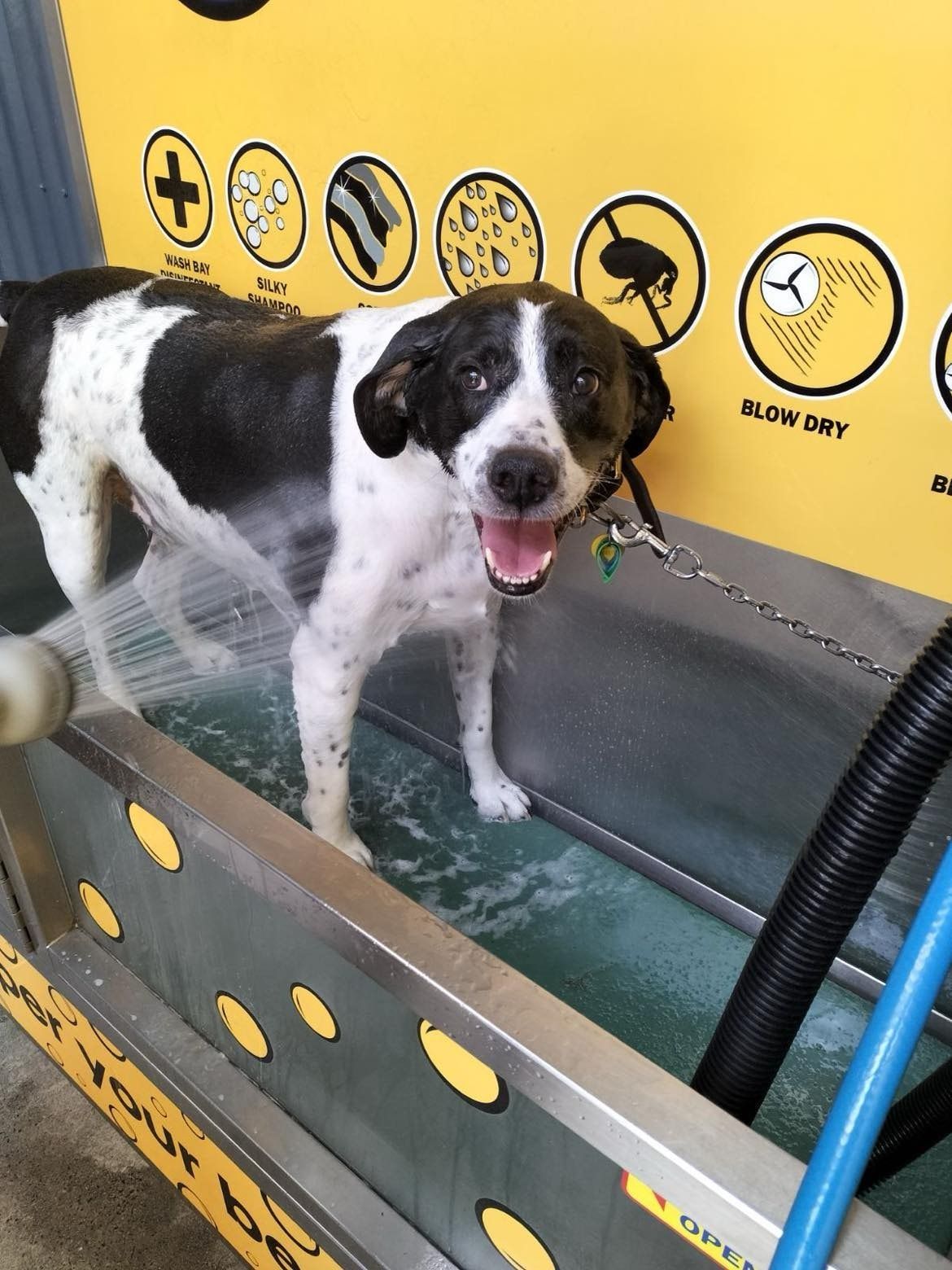 image-6