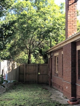 image-17