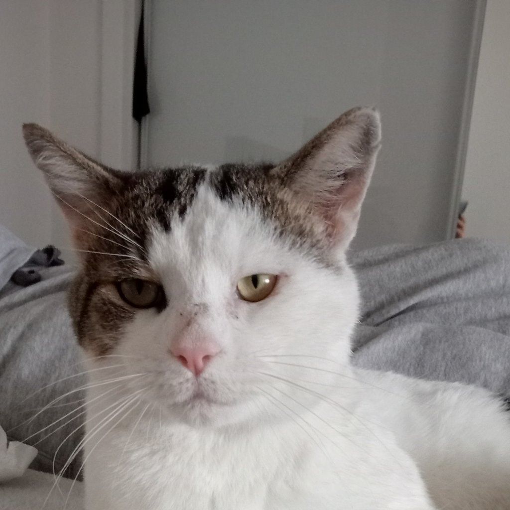 Walter