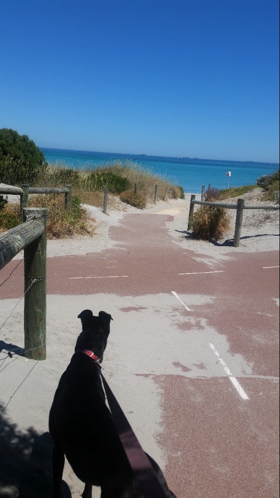 image-2