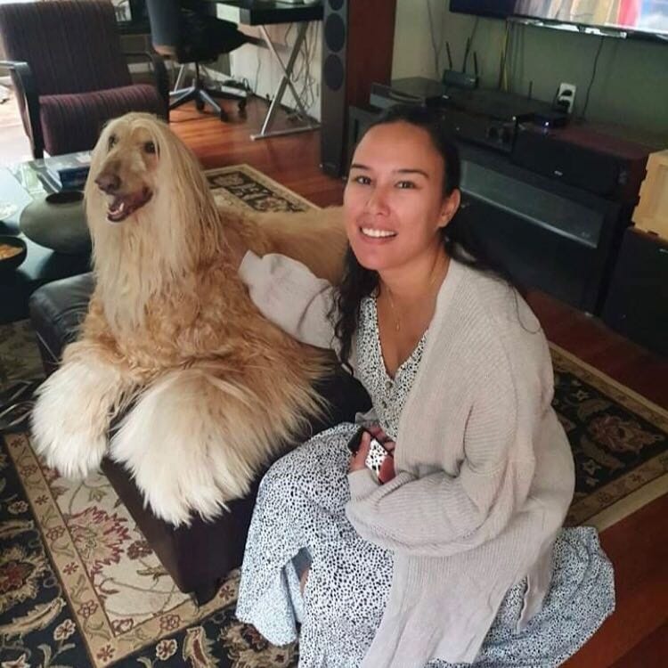 Hayley