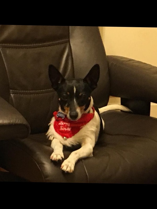image-6