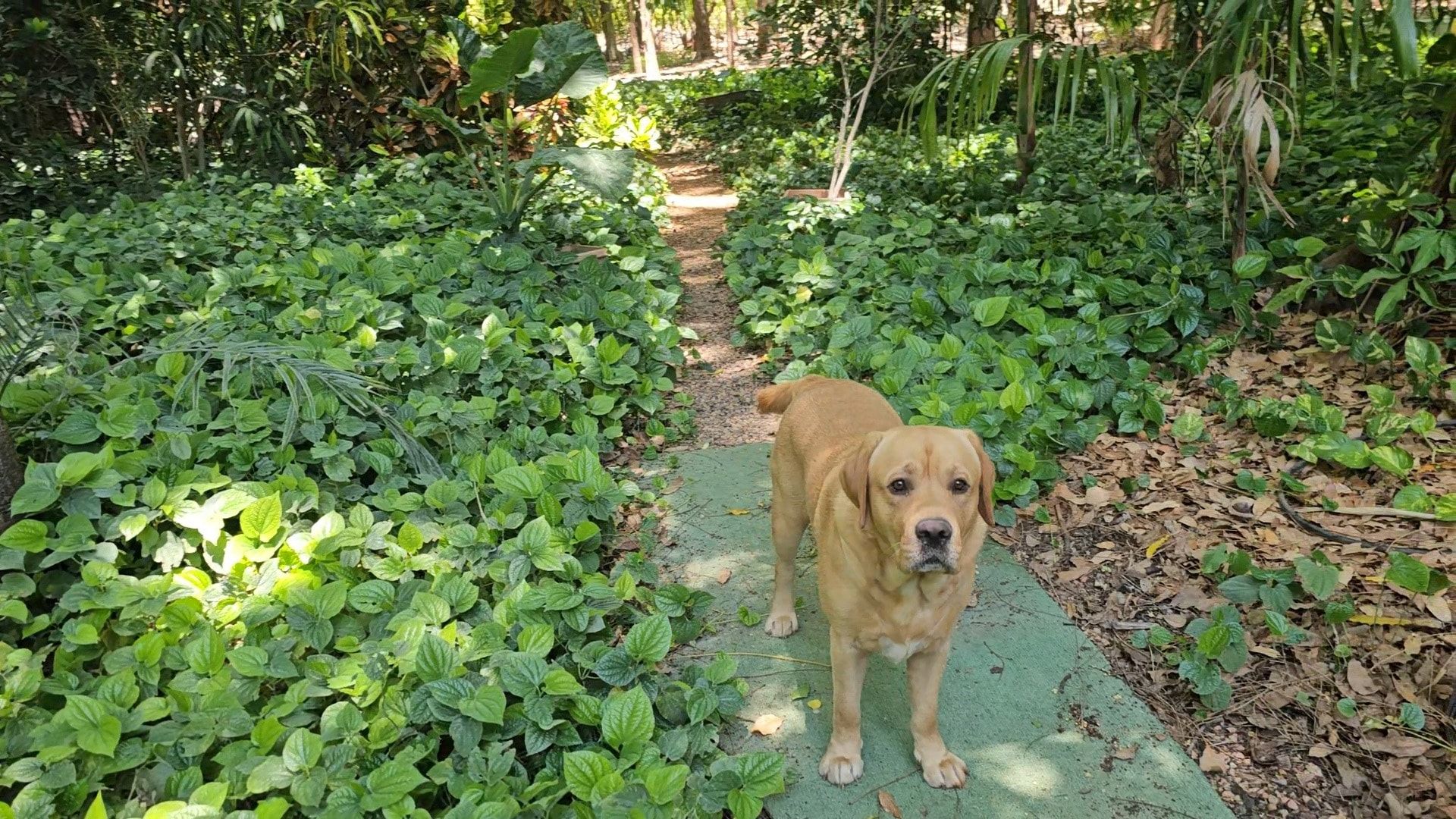image-16