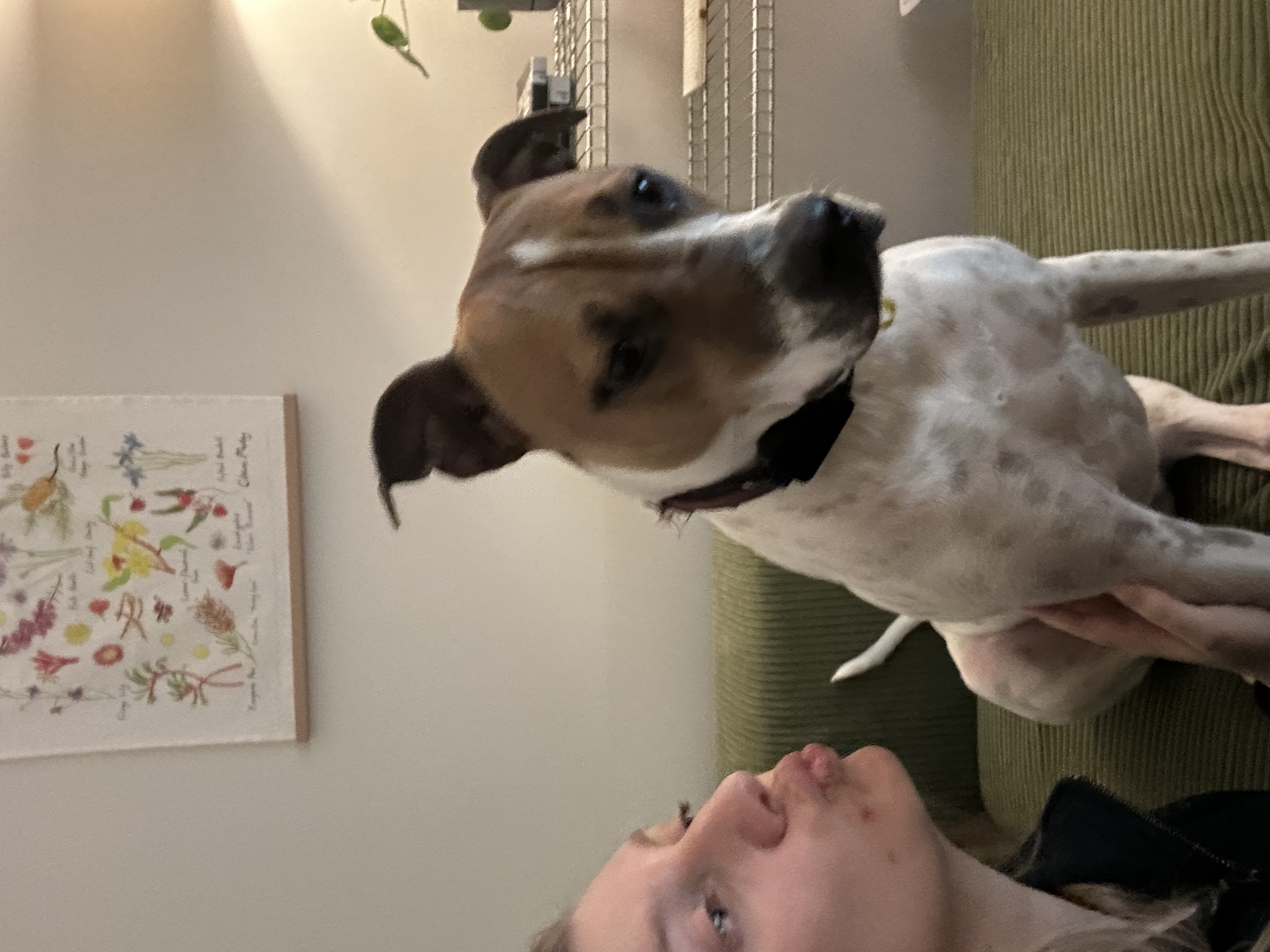 image-5