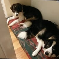 Atom and Flash