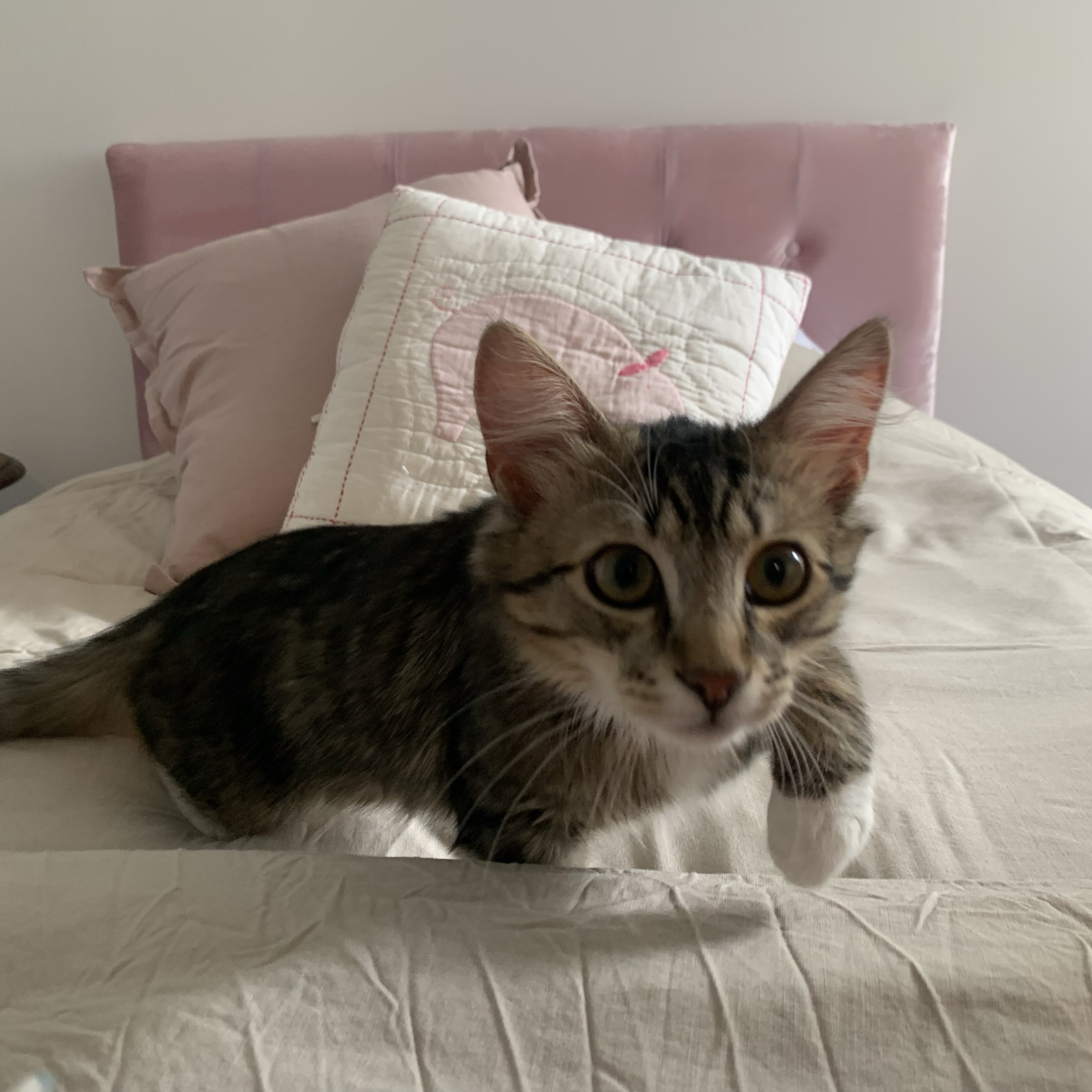 Sebastian