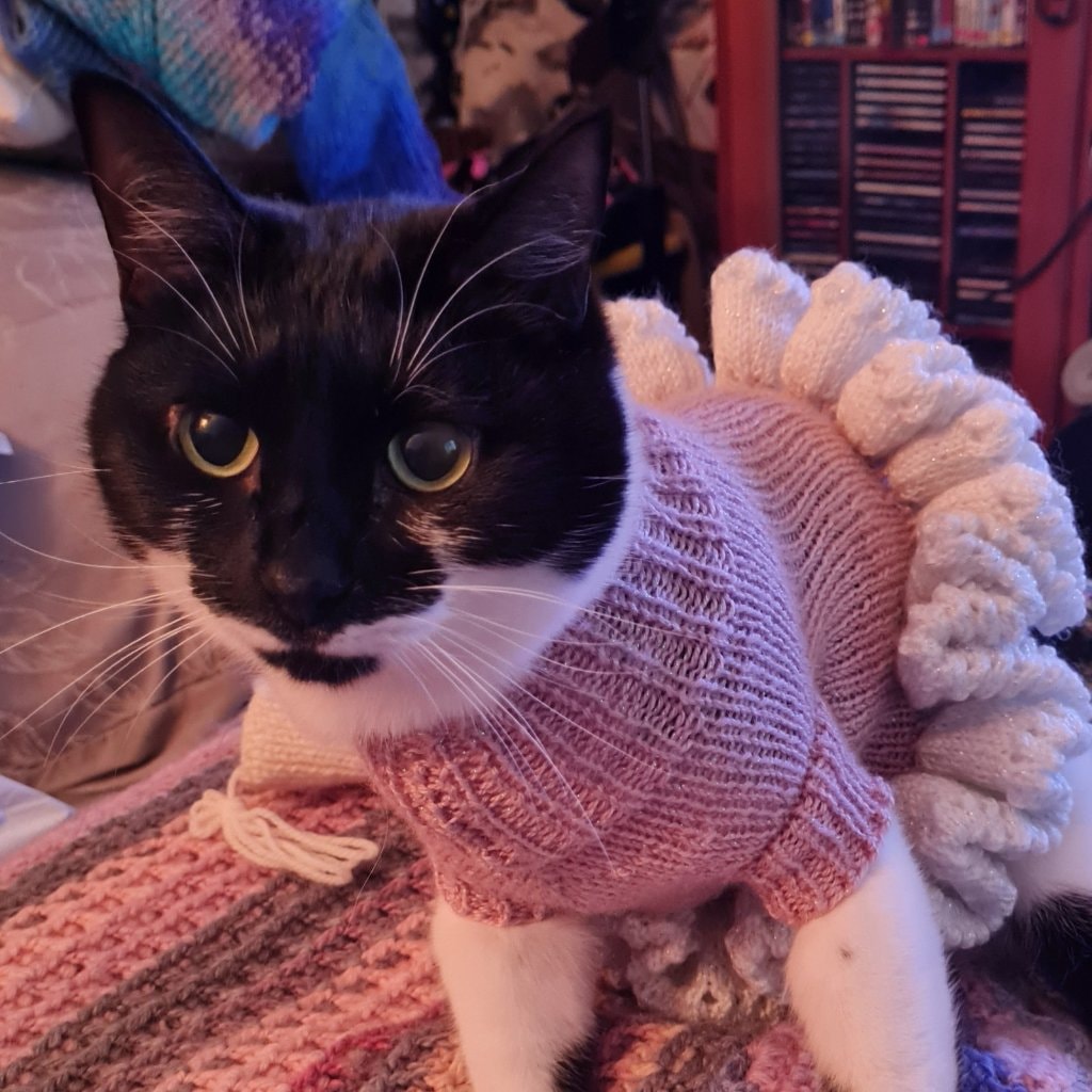 Lady Catlyn