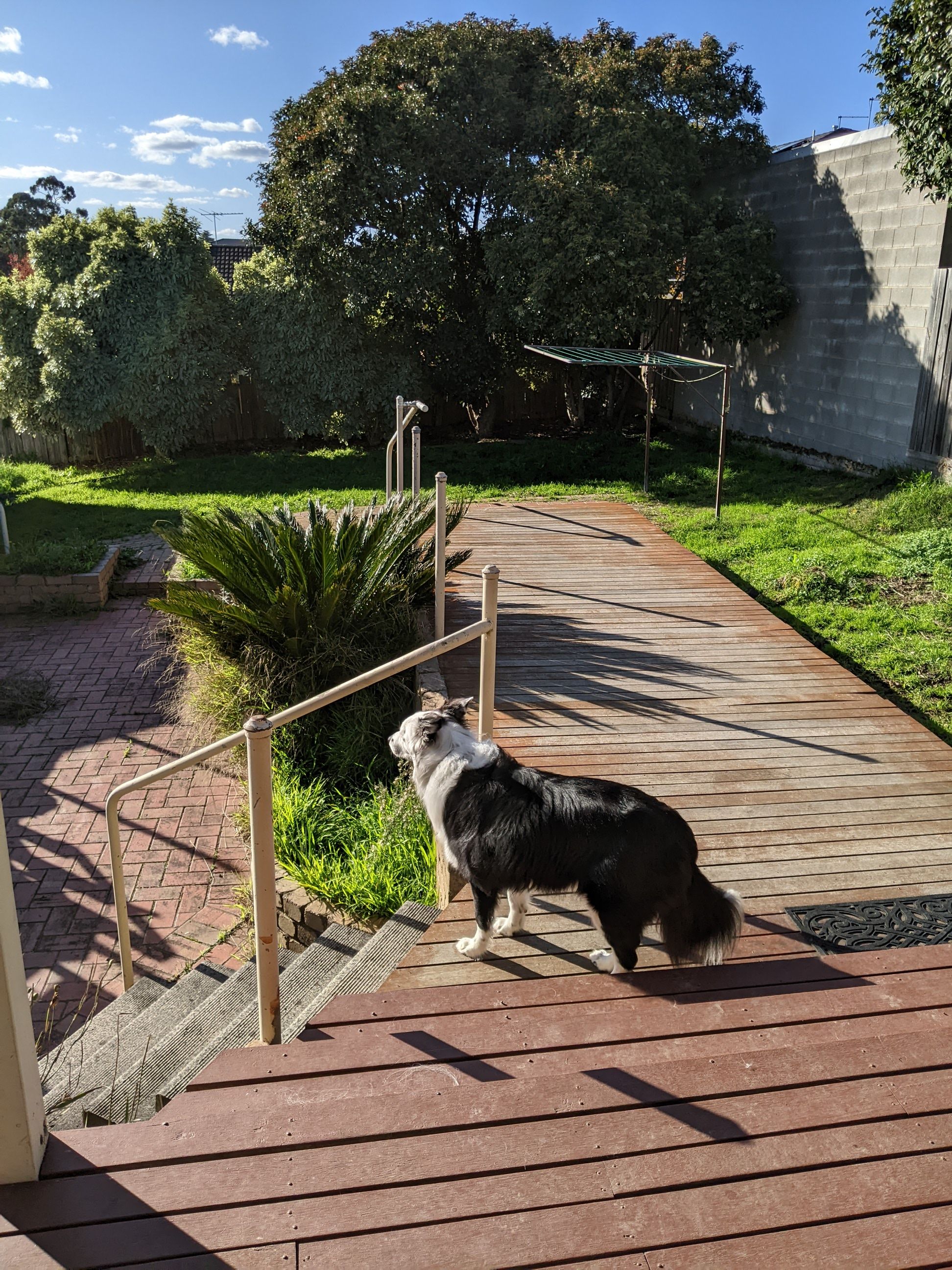 image-17