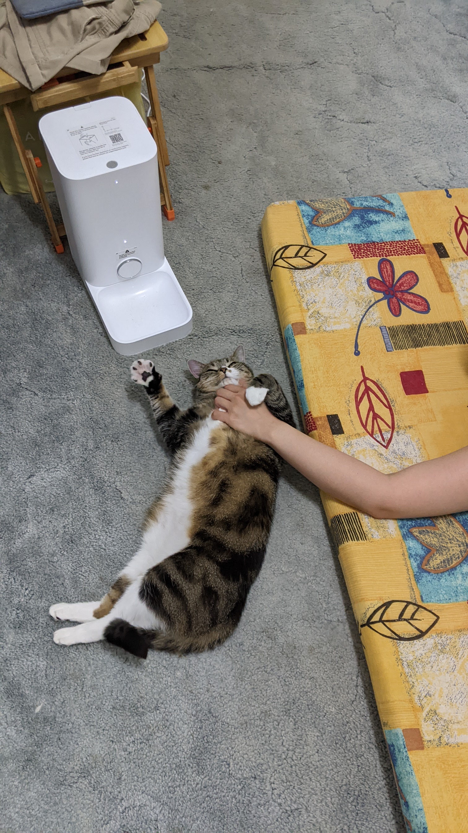 image-9