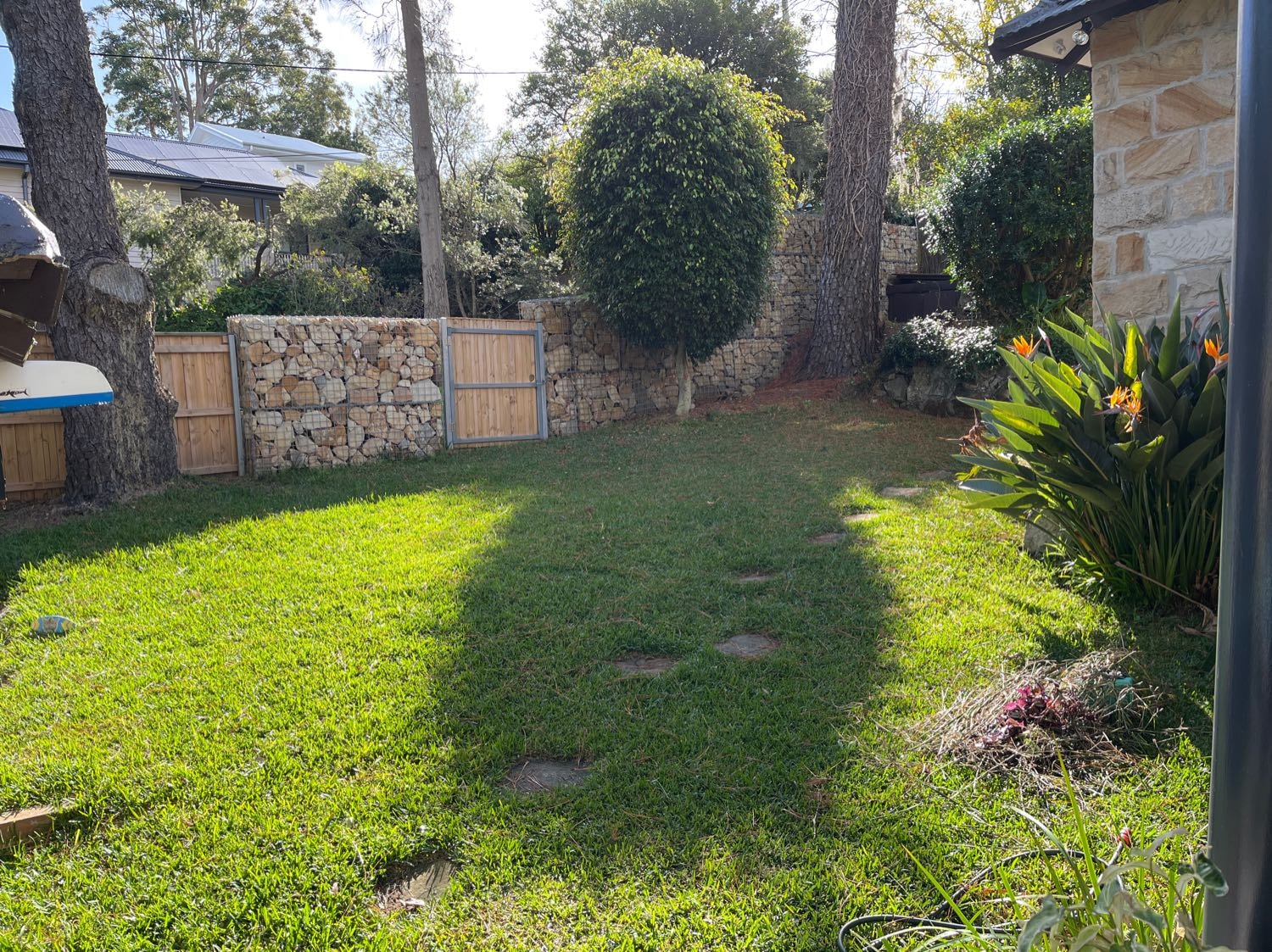 image-7