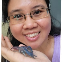 Cobalt Blue Crayfish