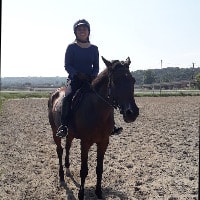 Royale - Former Race Horse