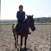 Royale - Former Race Horse